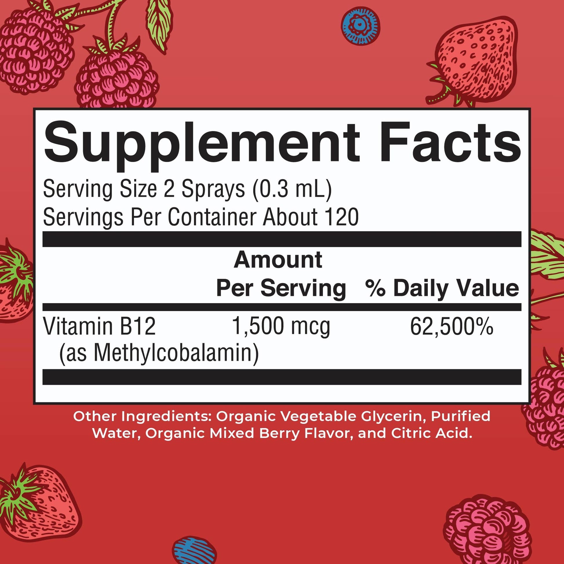 MaryRuth Organics Methyl B12 Spray | 1,500 mcg B12 Per Serving | Methylcobalamin | Energy Metabolism | Nervous System Support | Neuro Health | Vegan | Gluten Free | Sugar Free | 1 Fl Oz MARYRUTH'S buy supplements canada