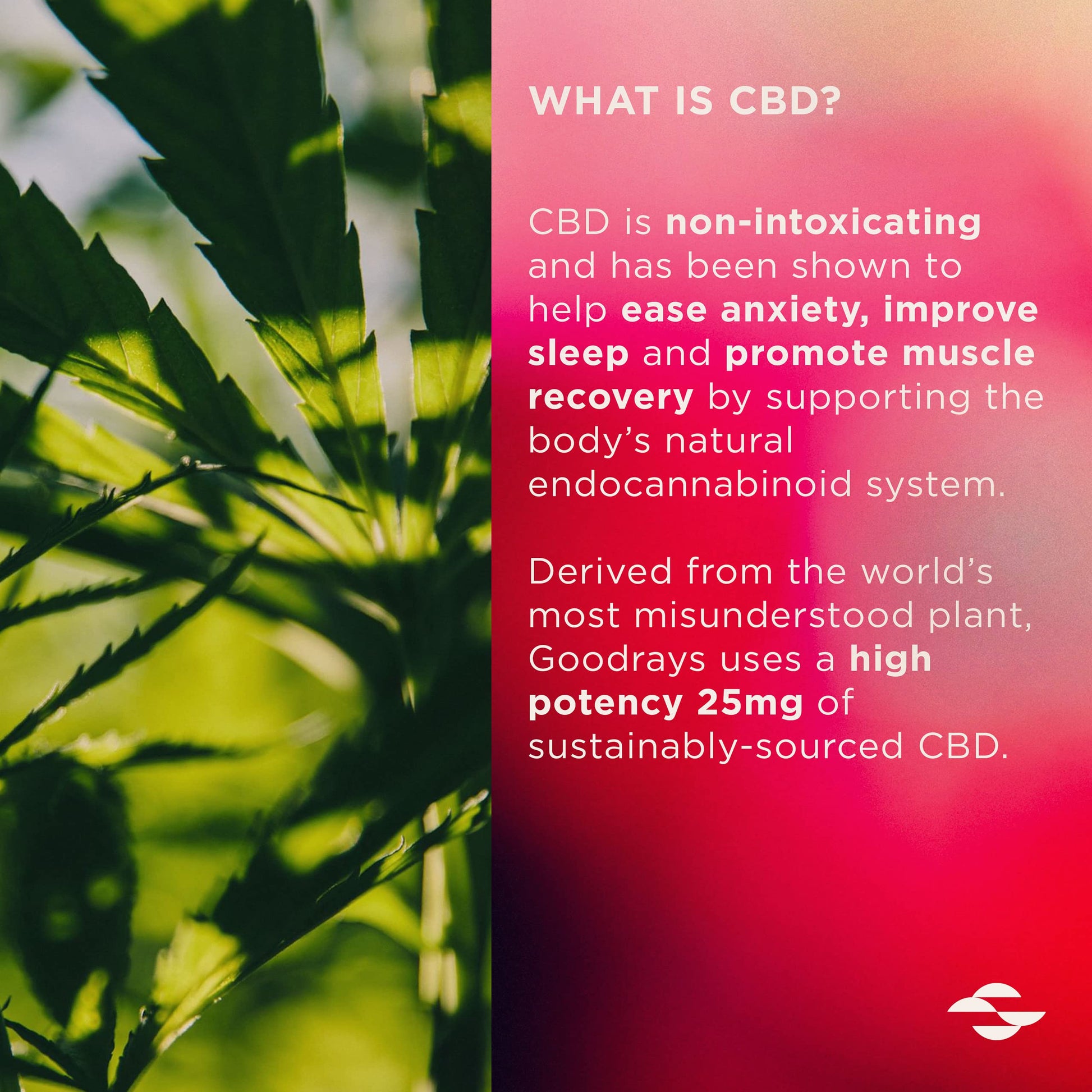 Goodrays - CBD Gummies - High Strength 30 x 25mg Mixed Fruits CBD Edibles Goodrays buy supplements canada