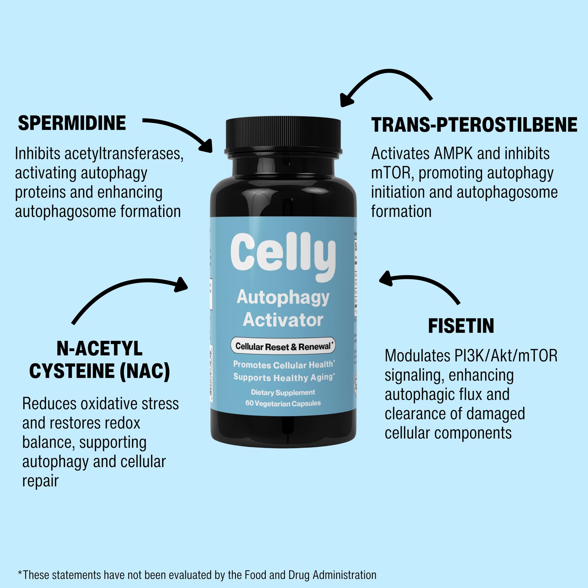Celly Autophagy Activator | Longevity Supplement for Cellular Nutrition and Healthy Aging | Promotes Cell Renewal with Spermidine, Pterostilbene, Fisetin, and NAC | Made in USA & 3rd Party Tested Celly buy supplements canada