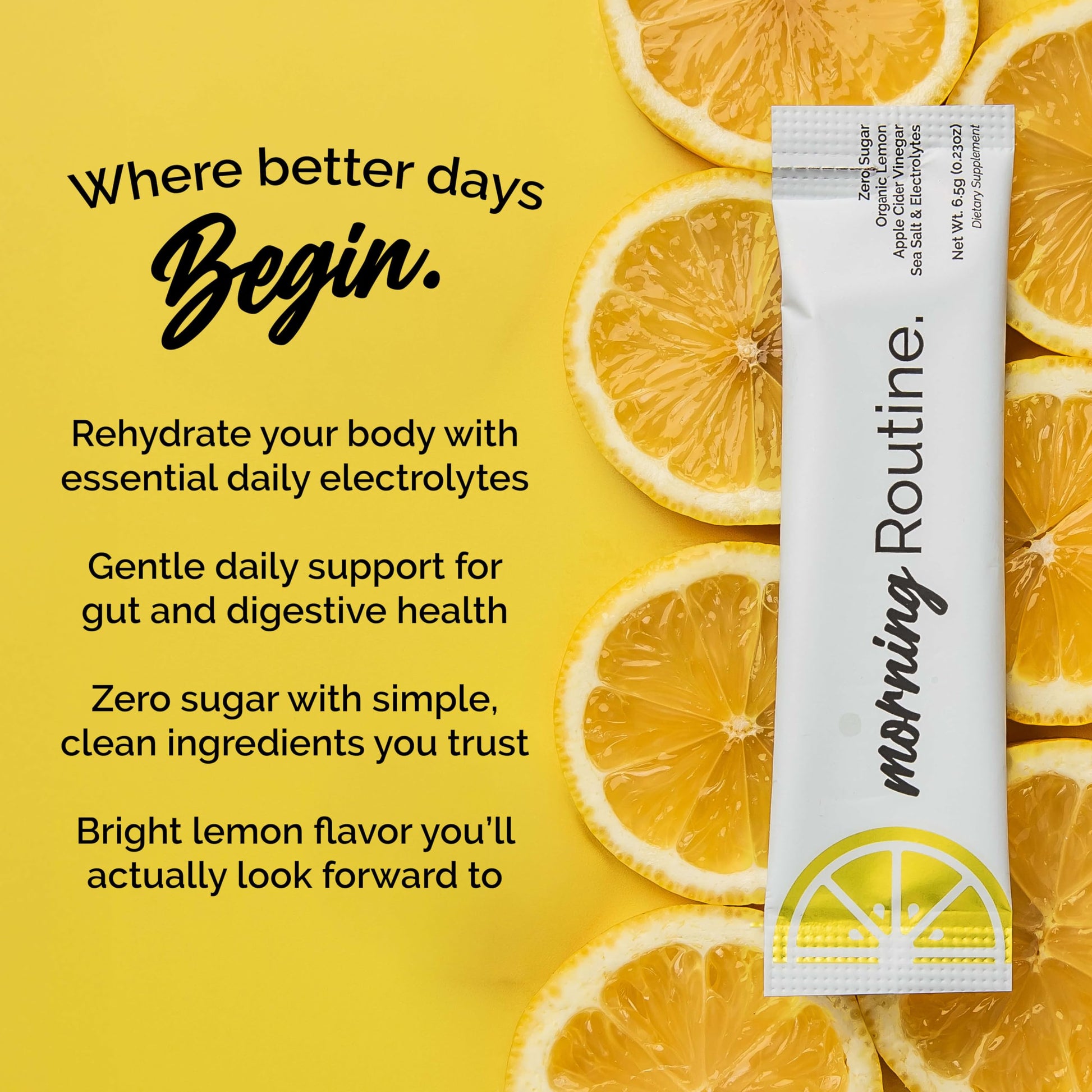ROUTINE Morning Daily Hydration | Electrolyte Powder Packets | Lemon, Apple Cider Vinegar & Sea Salt Drink Mix | Sugar-Free, Keto & Paleo-Friendly | 3rd-Party ROUTINE buy supplements canada