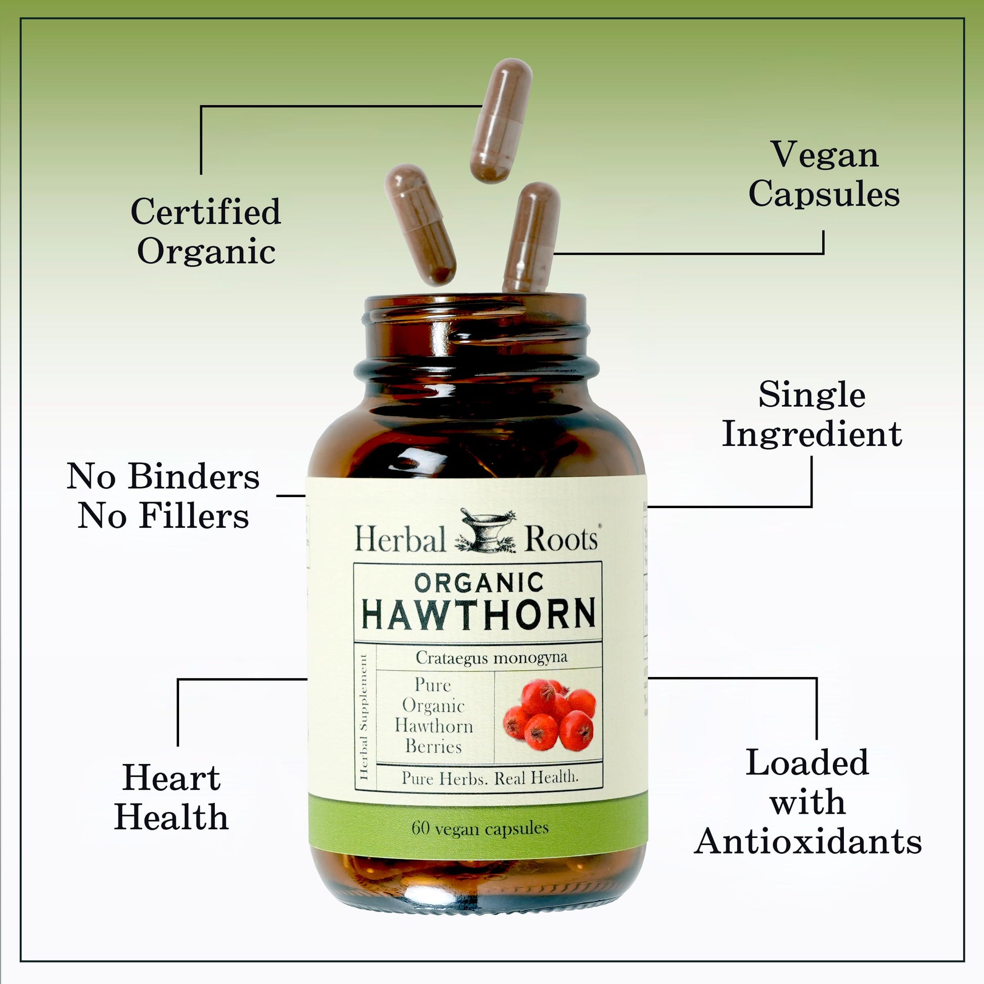 Herbal Roots Organic Hawthorn Berry Capsules | Extra Strength 1,200mg per Serving Herbal Roots buy supplements canada