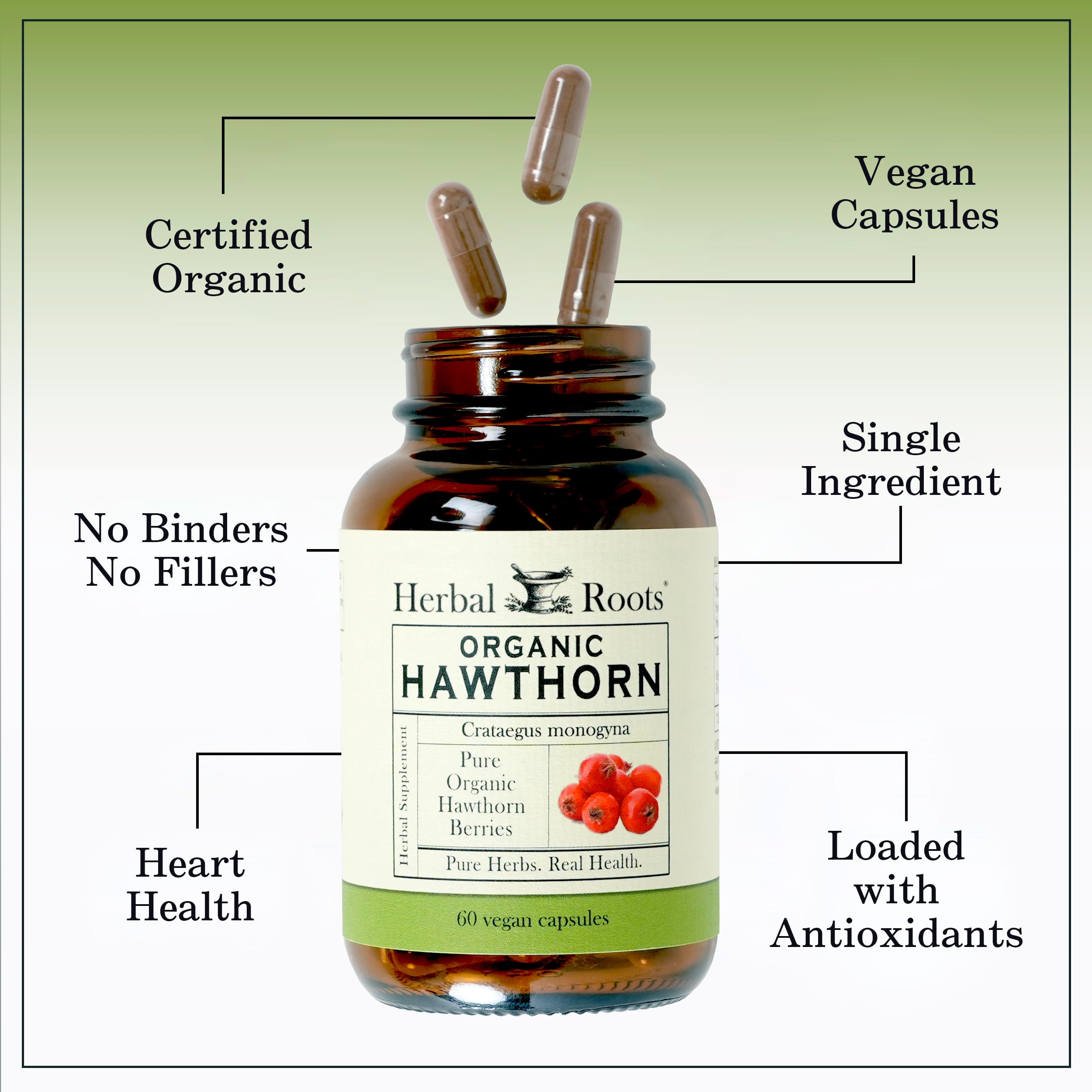 Herbal Roots Organic Hawthorn Berry Capsules | Extra Strength 1,200mg per Serving Herbal Roots buy supplements canada