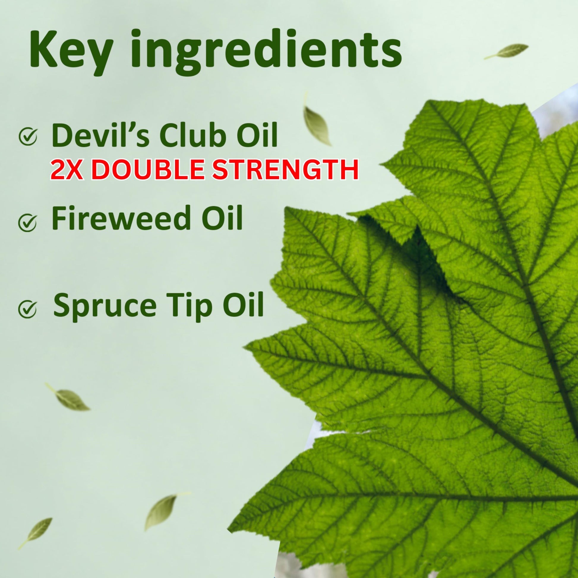 Snowy Summit Alaska Rainforest 2X Salve Stick - Salve for Dry Skin & Joint Relief - Natural Salve for Soothing Skin with Gentle Aroma - Body & Hand Salve - Muscle Rub Alaskan Devil’s Club Oil Snowy Summit buy supplements canada