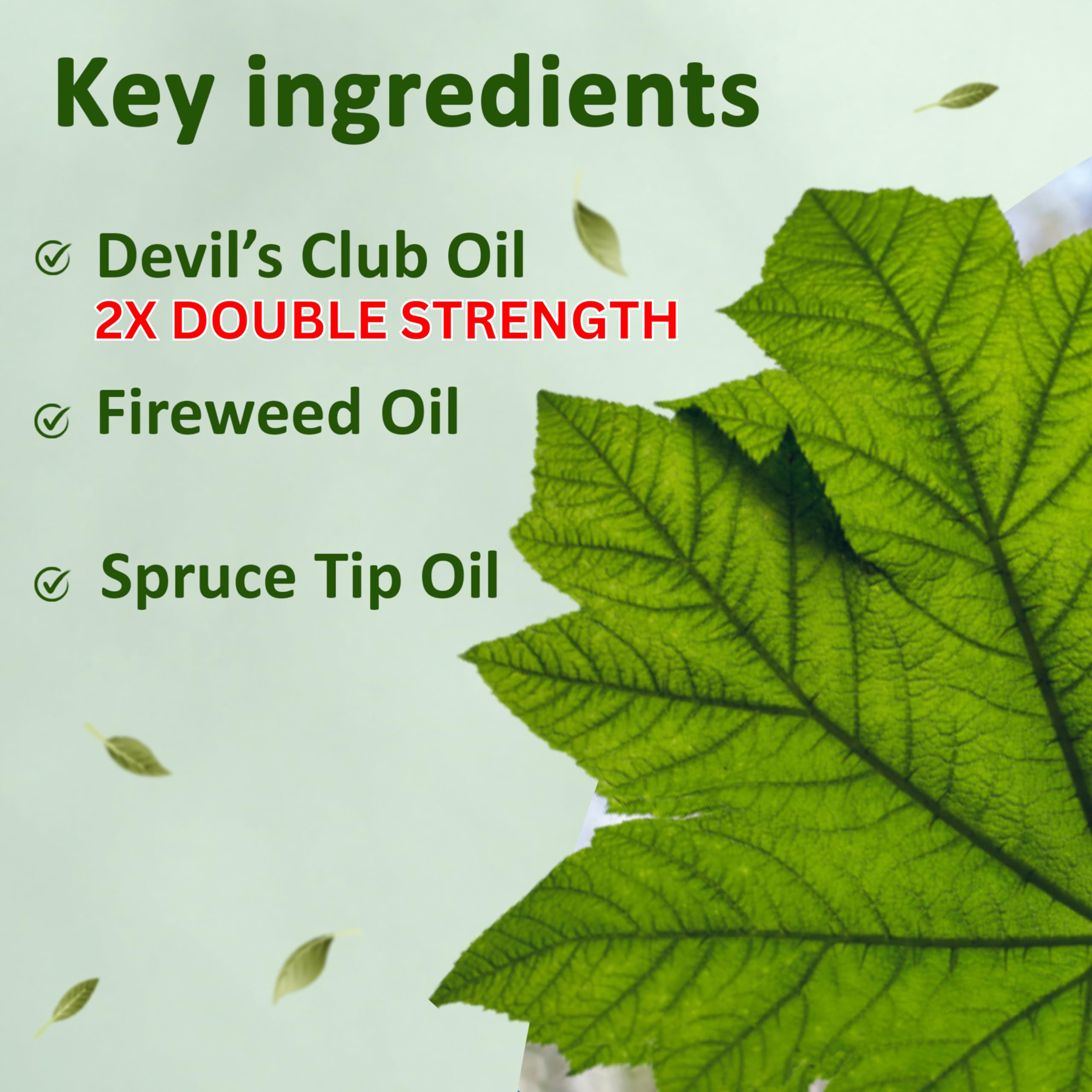 Snowy Summit Alaska Rainforest 2X Salve Stick - Salve for Dry Skin & Joint Relief - Natural Salve for Soothing Skin with Gentle Aroma - Body & Hand Salve - Muscle Rub Alaskan Devil’s Club Oil Snowy Summit buy supplements canada