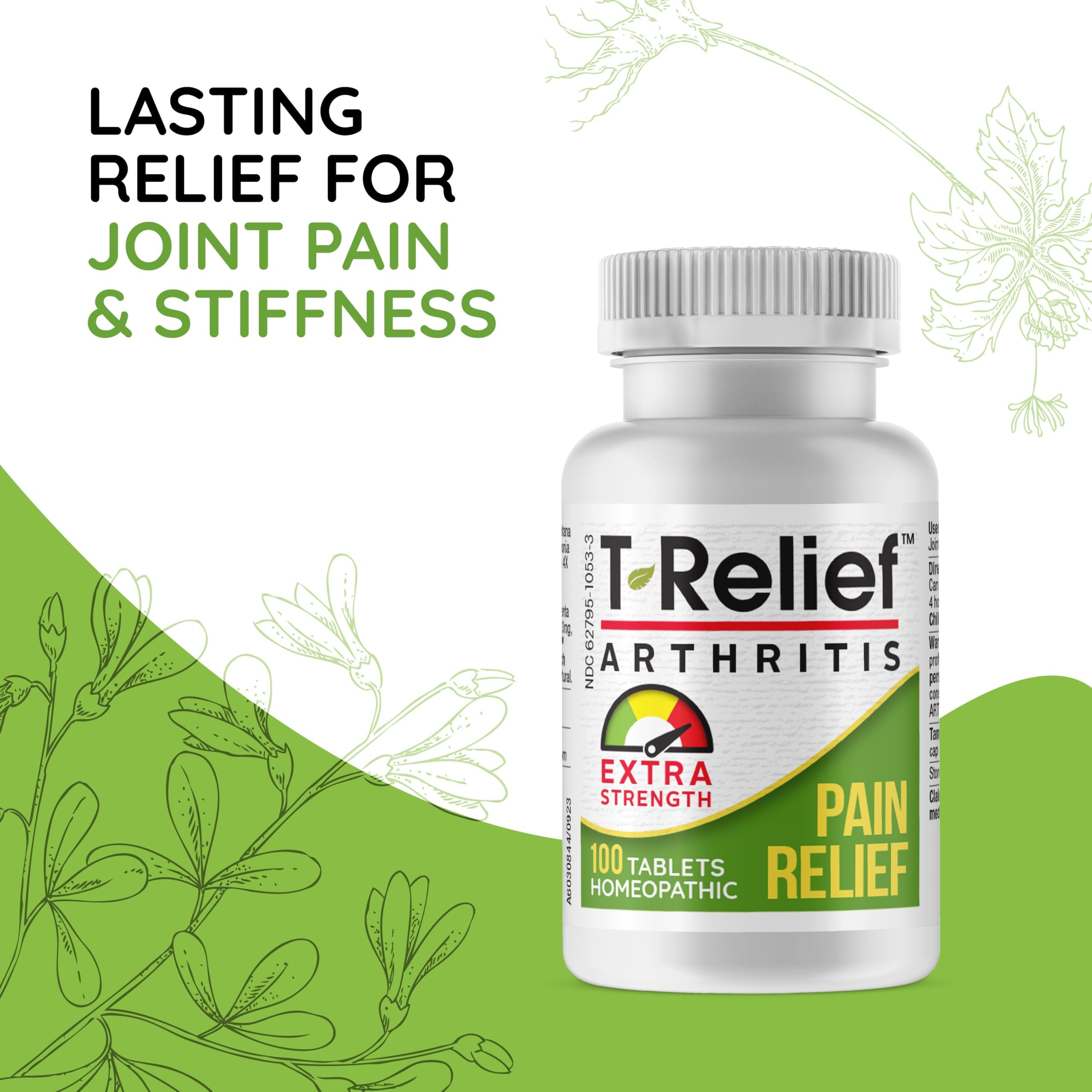 T-Relief Extra Strength Arthritis Pain Reliever Arnica +12 Natural Medicines for Joint Soreness Stiffness Aches, Quick Dissolving Pain Relief for Women & Men - 100 Tablets MediNatura buy supplements canada
