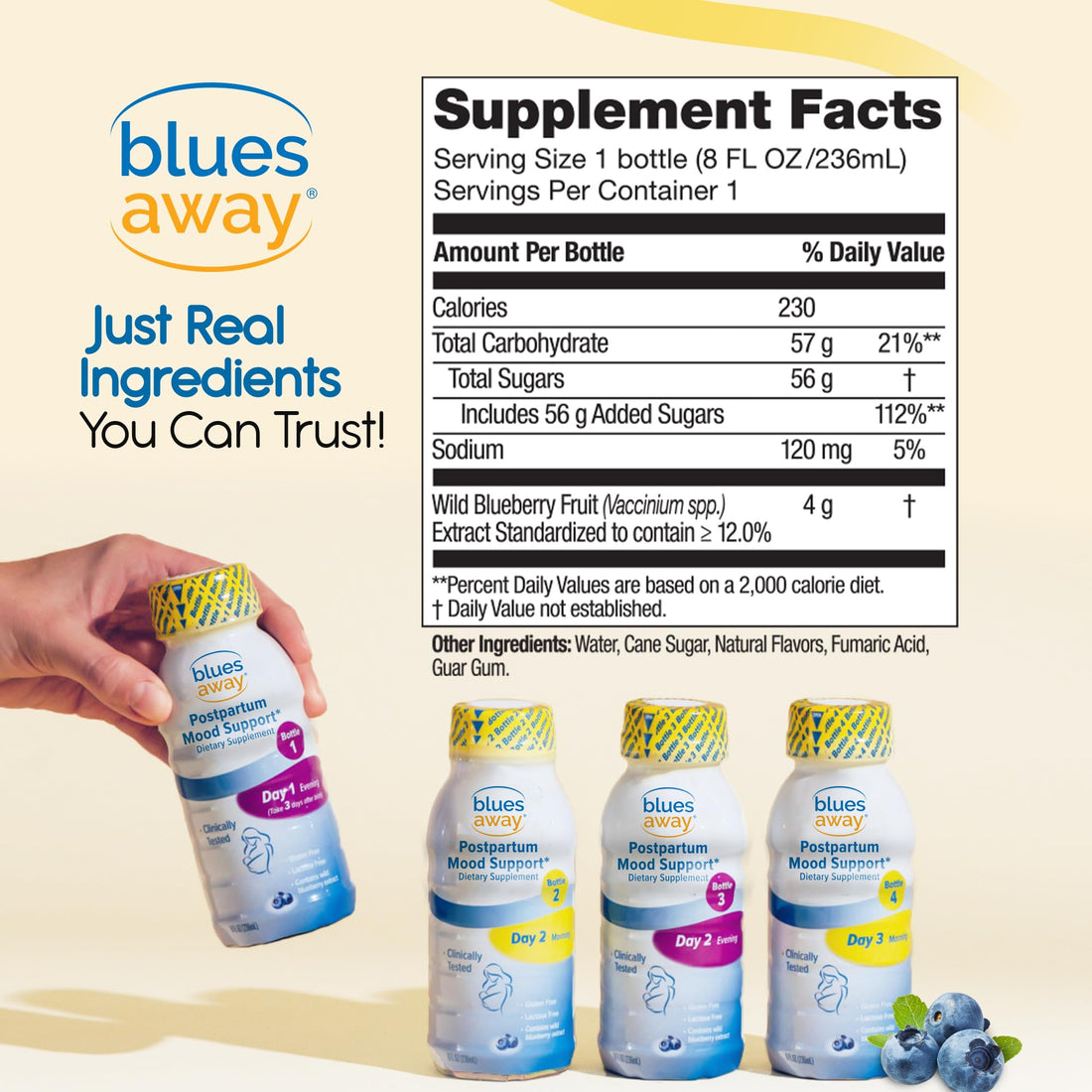 Blues Away Postpartum Mood Support Drink - Breastfeeding Friendly Postnatal Hormone Balance for Women - 3-Day Liquid Dietary Stress Support Shake [4 Bottles] Blues Away buy supplements canada