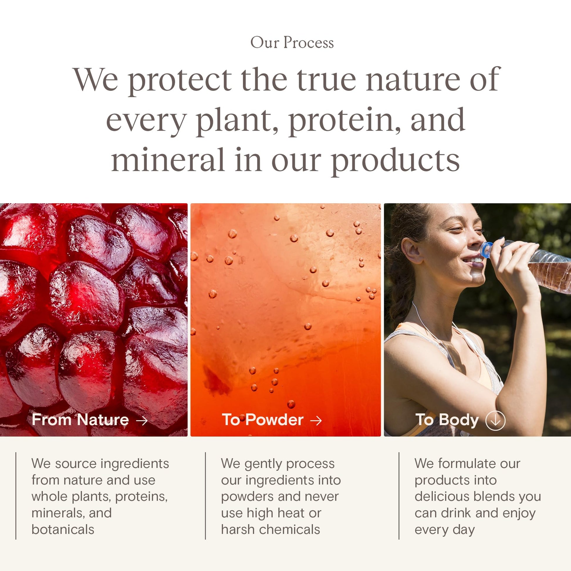 Yoli® Truth Antioxidant and Immune Support Supplement with Vitamin C, Botanicals, Superfruits, and Minerals - Pomegranate, 30 Packets Yoli buy supplements canada