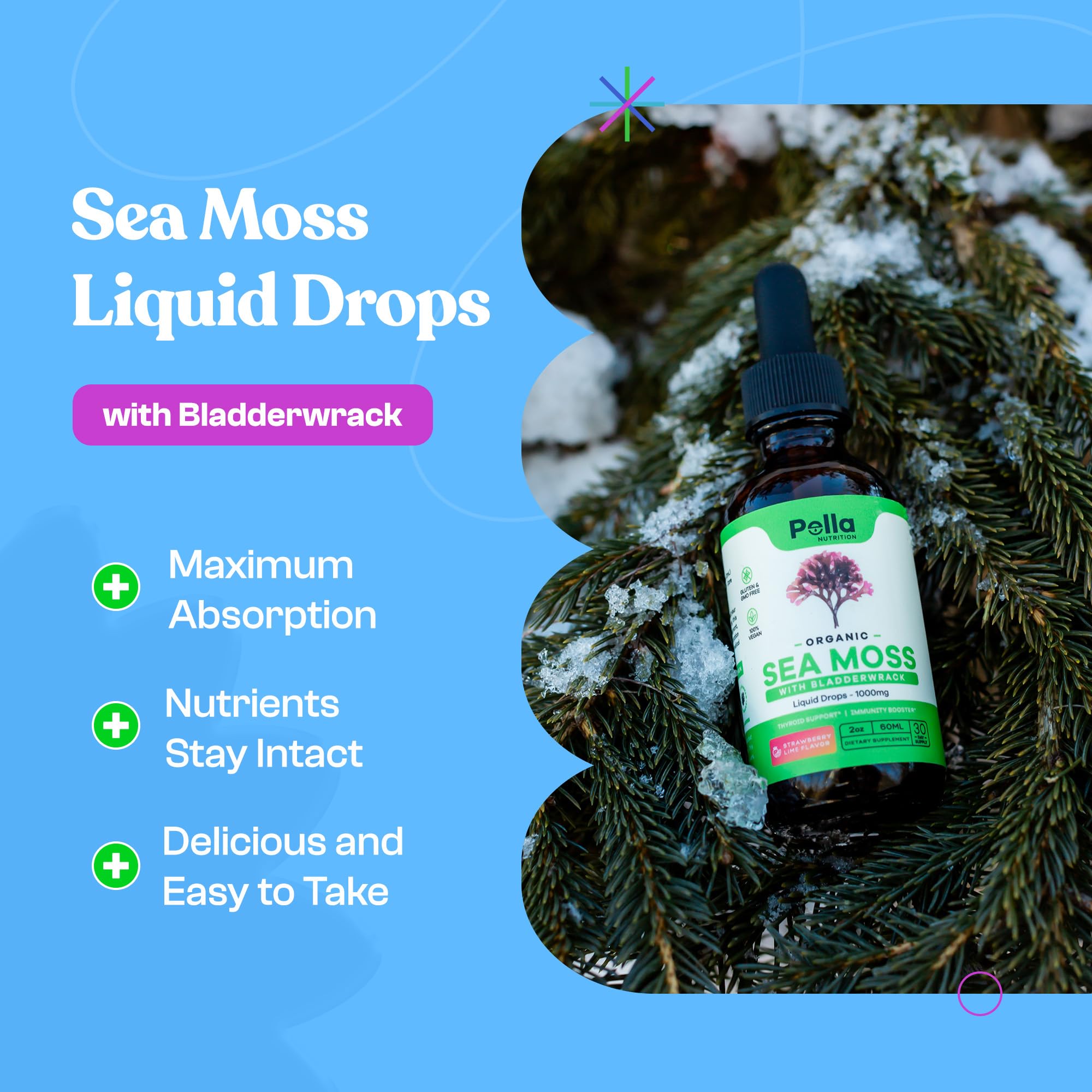 Organic Sea Moss Drops - 1000mg Irish Sea Moss - 4X Stronger than Sea Moss Gel Pella Nutrition buy supplements canada