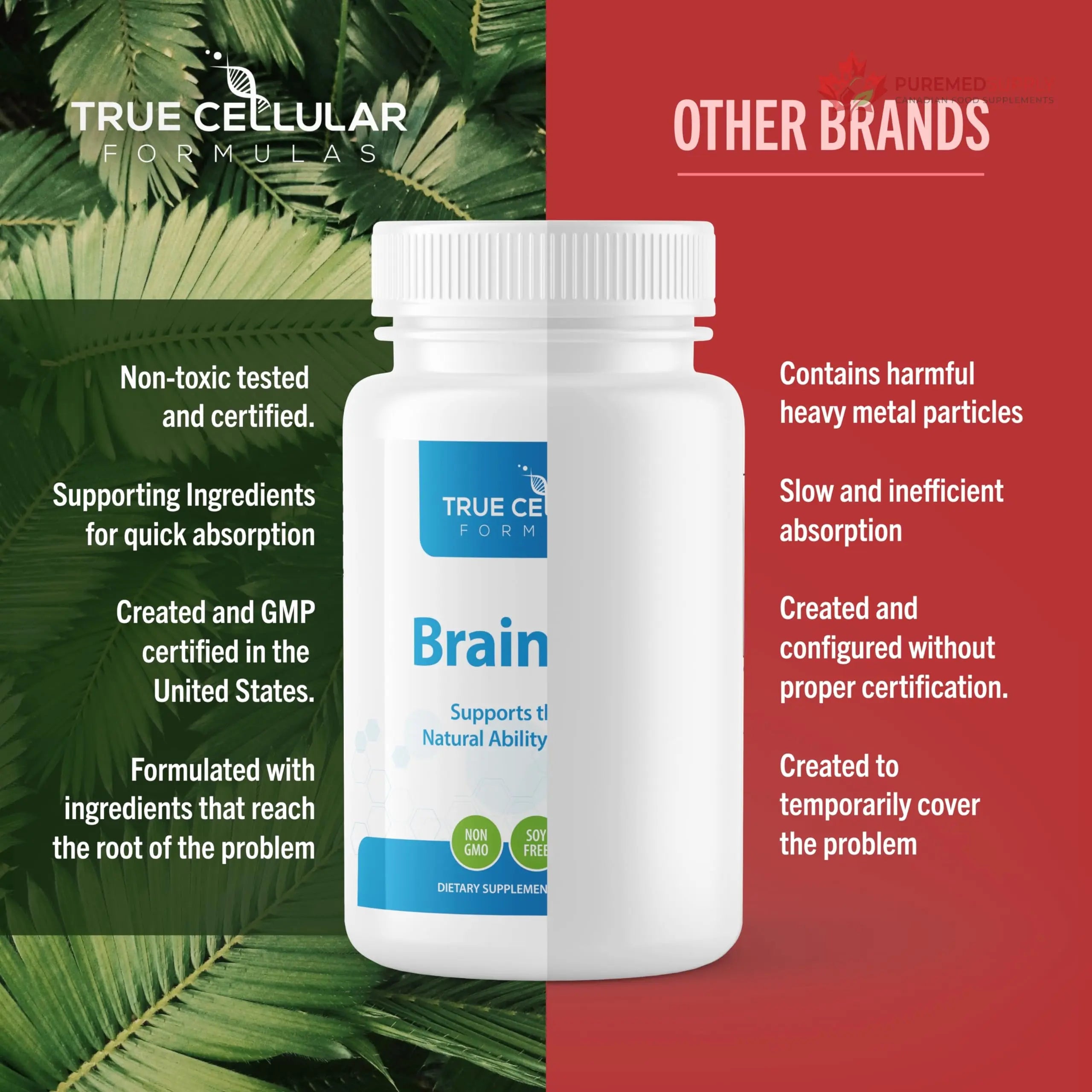 True Cellular Formulas BrainDTX - Supports Cognitive Function, Focus & Mental Clarity - Promotes Clear Thinking & Memory - with Alpha Lipoic Acid & Biotin - Antioxidant Support - 60 Capsules True Cellular Formulas buy supplements canada