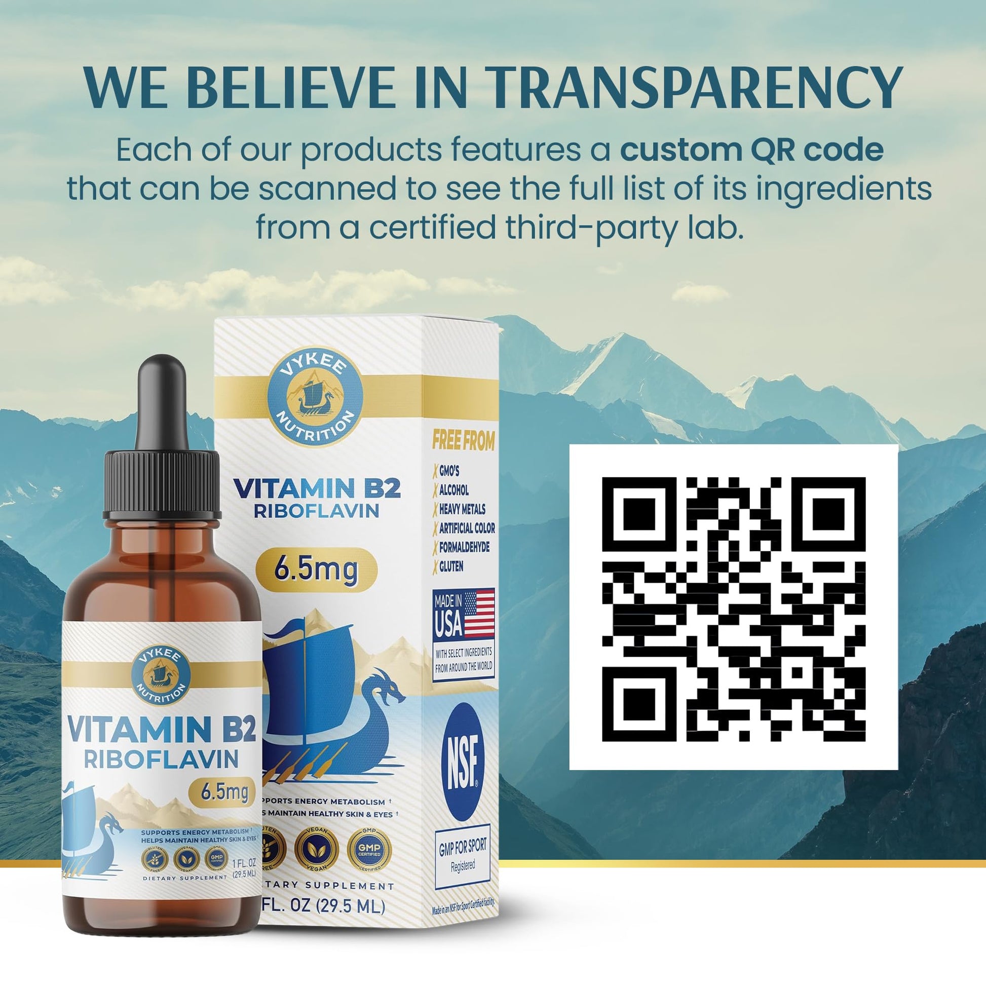 Vykee Nutrition Vitamin B2 Riboflavin Drops - Liquid B2 Supplement for Energy Metabolism, Cellular Function and Vision Support - Vegan, Non-GMO, Gluten-Free Vykee Nutrition buy supplements canada