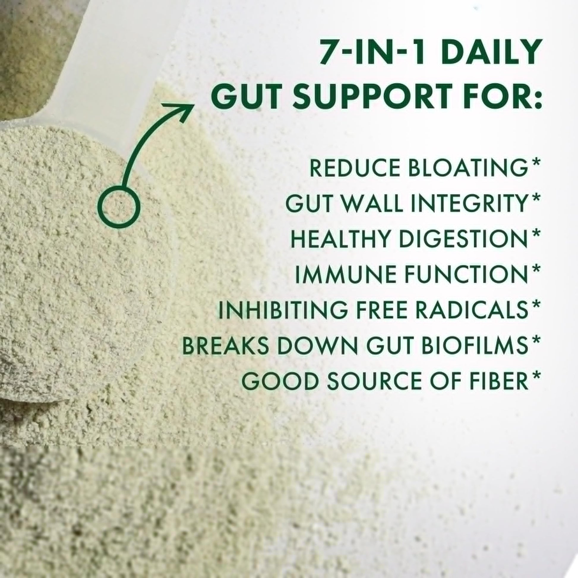 BIOHM Digestive Greens, Green Superfood Powder (7.4 Oz, 30 Servings) Immune & Gut Health Support with Antioxidants, Vitamins, Probiotics & Enzymes, Good Source of Fiber, Berry Flavor BIOHM buy supplements canada