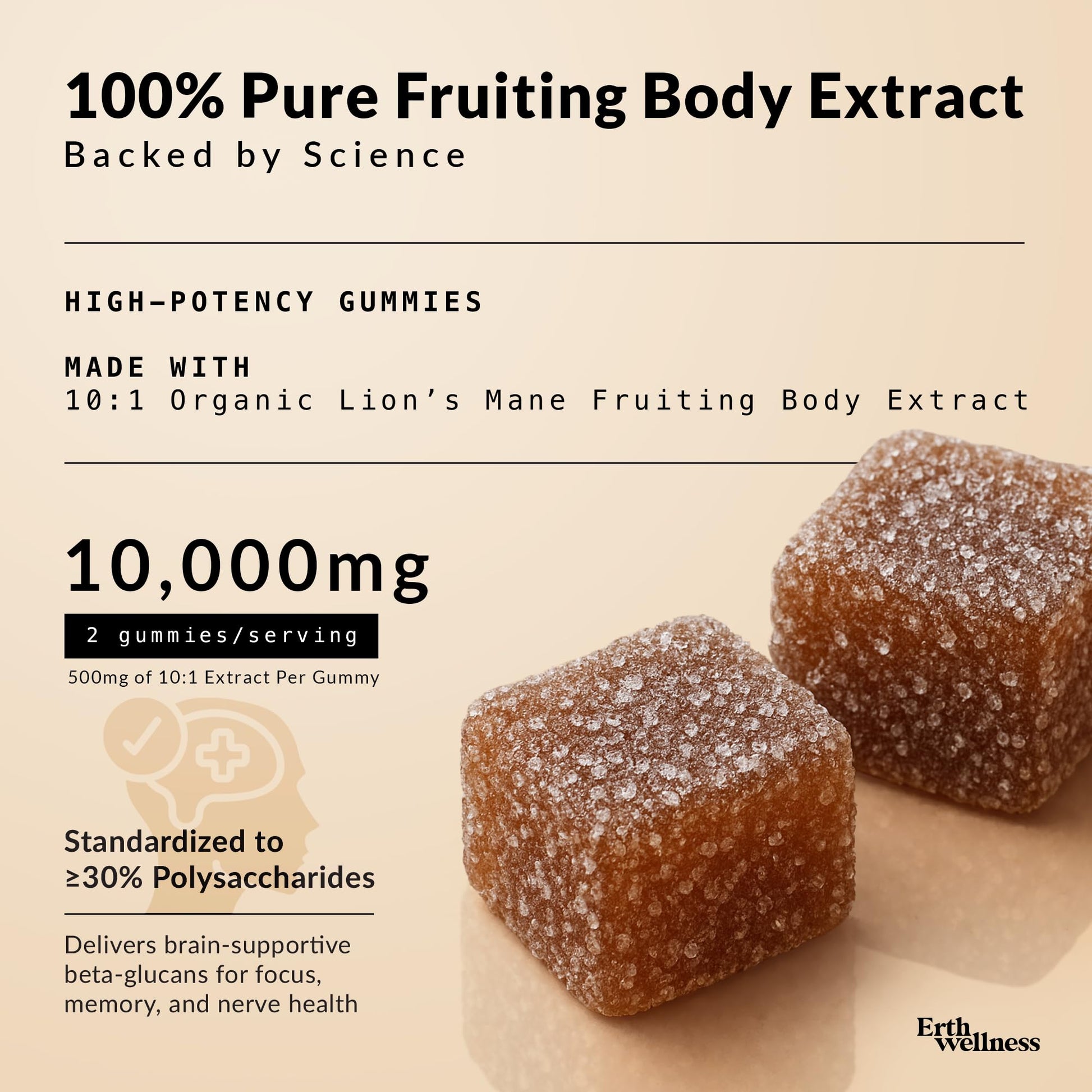 Erth Wellness Lion’s Mane Mushroom Gummies – 10,000mg Fruiting Body Extract per Serving – Brain & Focus Support – Daily Nootropic – Vegan, Low Sugar, Non-GMO – 60 Ct Erth Wellness buy supplements canada