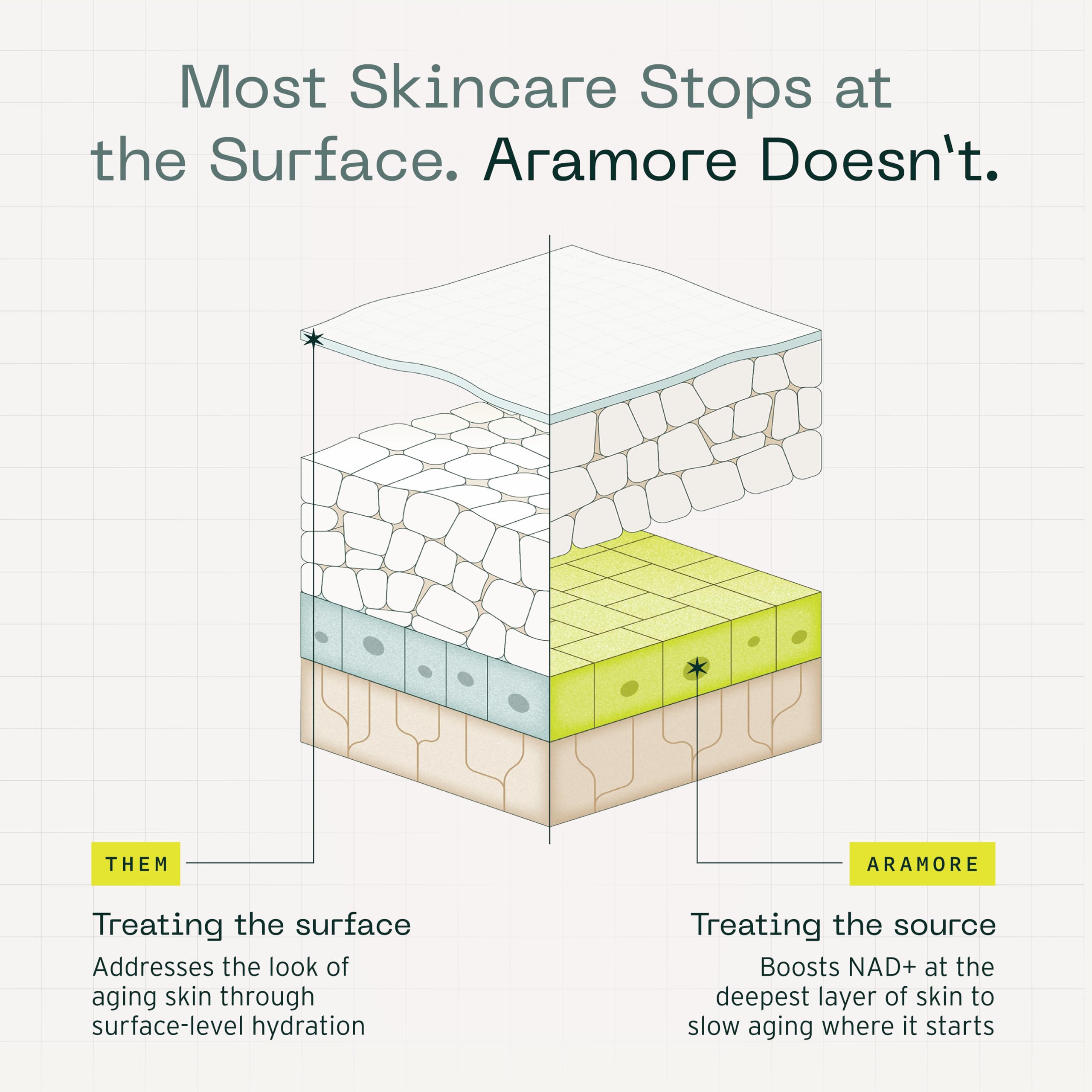 Aramore NAD+ Cell Energizing Skin Care Treatment with Proprietary NAD+ Precursor Complex, Clinically Proven to Target 12 Signs of Aging - 15ml Aramore buy supplements canada