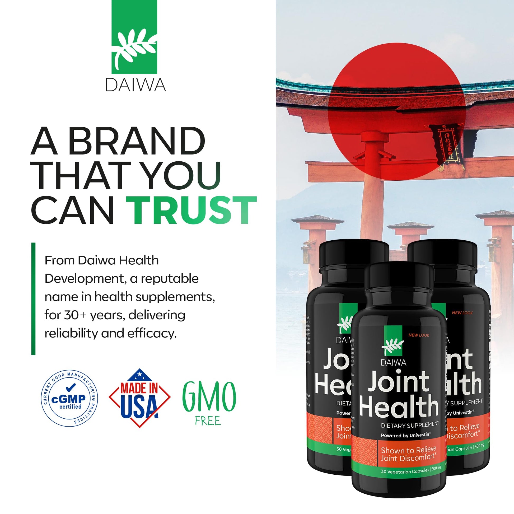 Daiwa Joint Health - Tendon and Ligament Supplements with Chinese Skullcap and Acacia Catechu - Traditional Plant-Based Formula for Active Lifestyles - Non-GMO, 30 Vegetarian Capsules Daiwa Health Development buy supplements canada