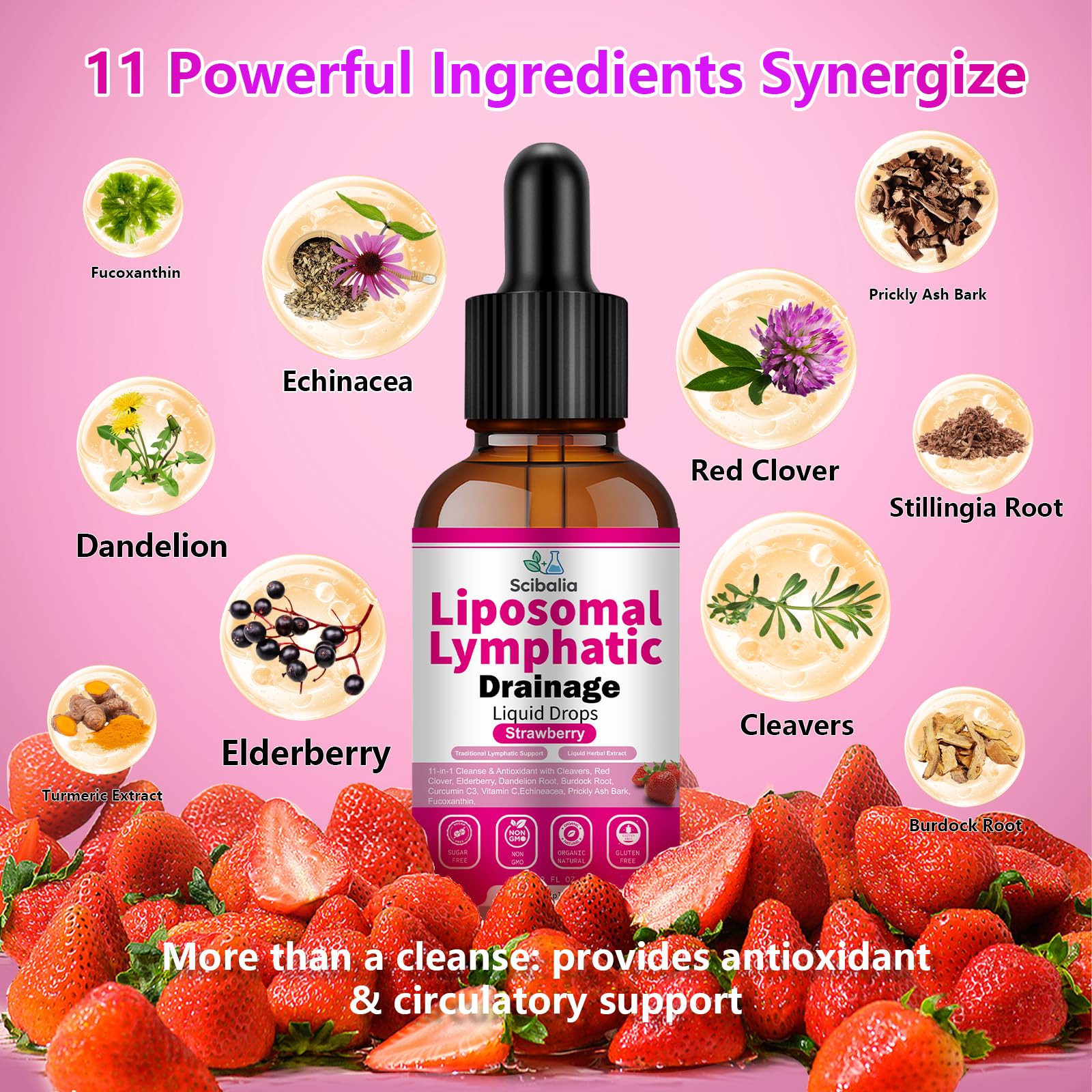 Scibalia Liposomal Lymphatic Drainage Drops, 11-in-1 Organic Lymphatic Support with Red Clover Echinacea Elderberry Burdock Root for Lymph Cleanse Immune Support & Daily Detox Vegan Non-GMO Scibalia buy supplements canada