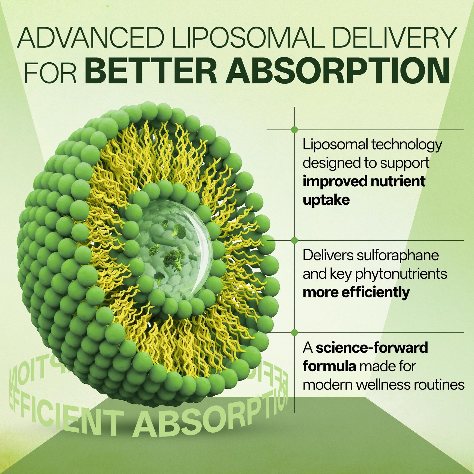 Liposomal Sulforaphane 500mg Supplement from Broccoli Extract with Quercetin, Black Pepper & Vitamin C – Antioxidant, Detox & Cellular Support, Cellular Health Formula for Men & Women, 60 Capsules inGreens buy supplements canada