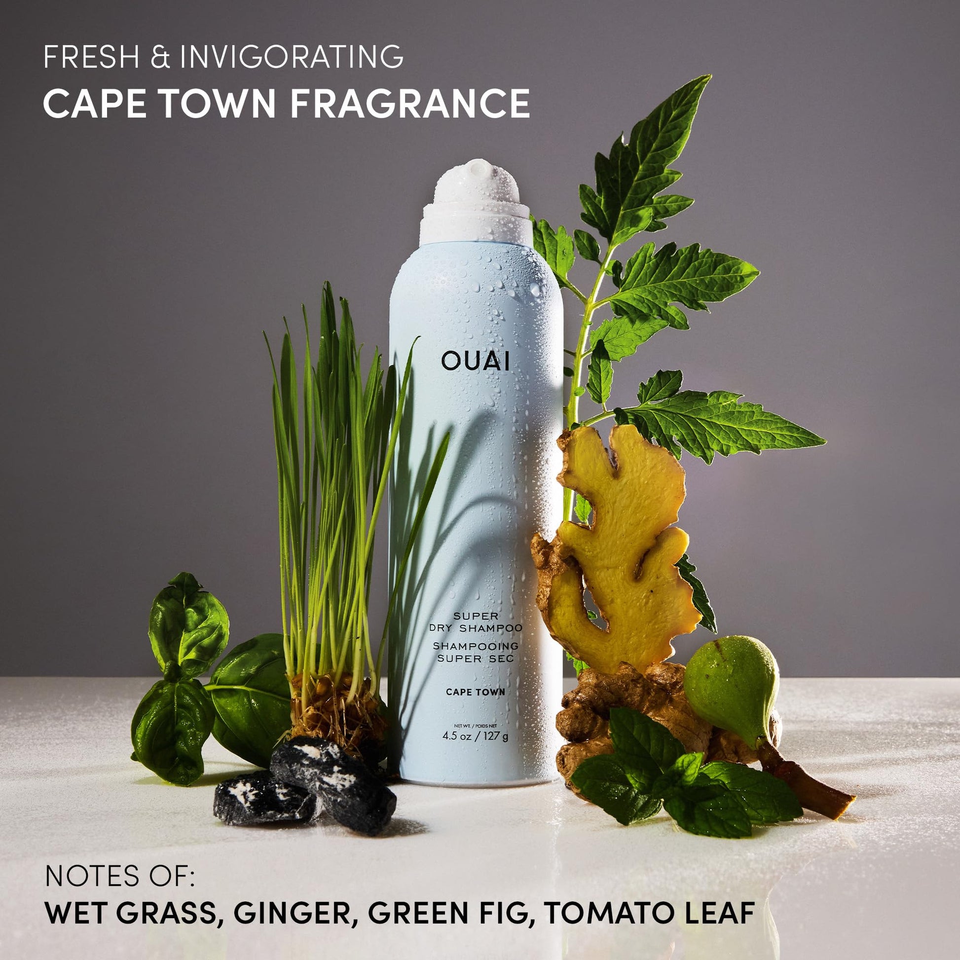OUAI Super Dry Shampoo - Volumizing Dry Shampoo - Absorbs Oil, Dirt & Sweat - Blends Seamlessly into Hair with Zero Residue & Enriched with a Long-Lasting Scent - Cape Town (4.5 oz) OUAI buy supplements canada