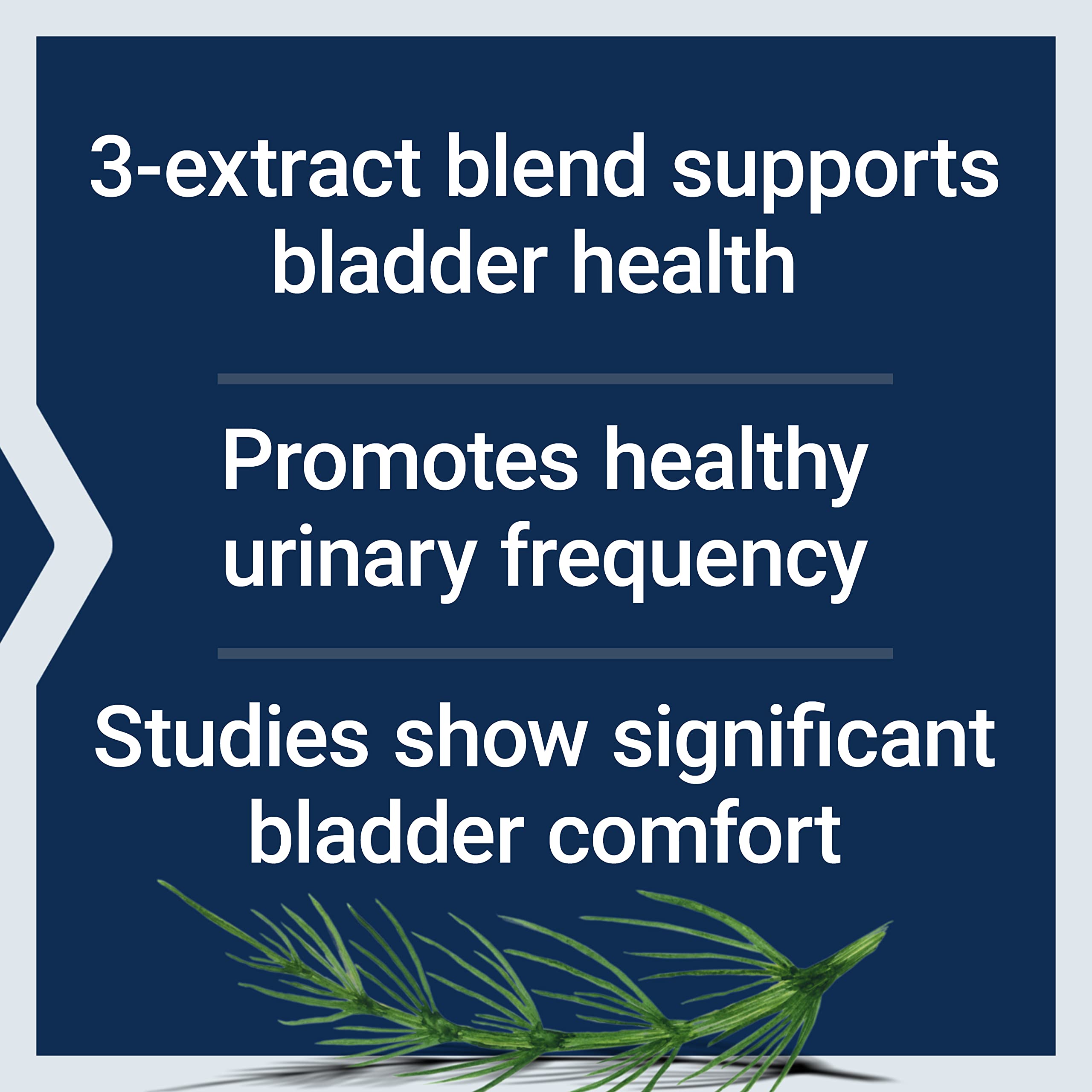 Life Extension Women's Bladder Support – for Bladder Health and Normal Urinary Frequency – Horsetail, Lindera and Three-Leaf Caper Extracts – Non-GMO – Gluten Free — 60 Vegetarian Capsules Life Extension buy supplements canada