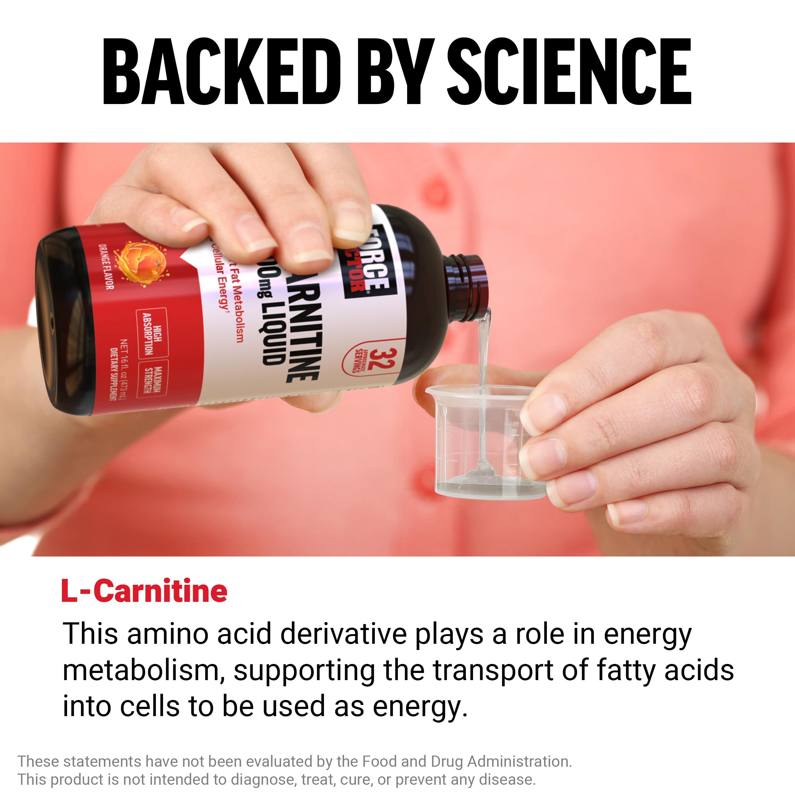 Force Factor L-Carnitine Liquid 3000mg, Maximum Strength Supplement to Support Fat Metabolism, Cellular Energy & Muscle Recovery, High Absorbing Force Factor buy supplements canada