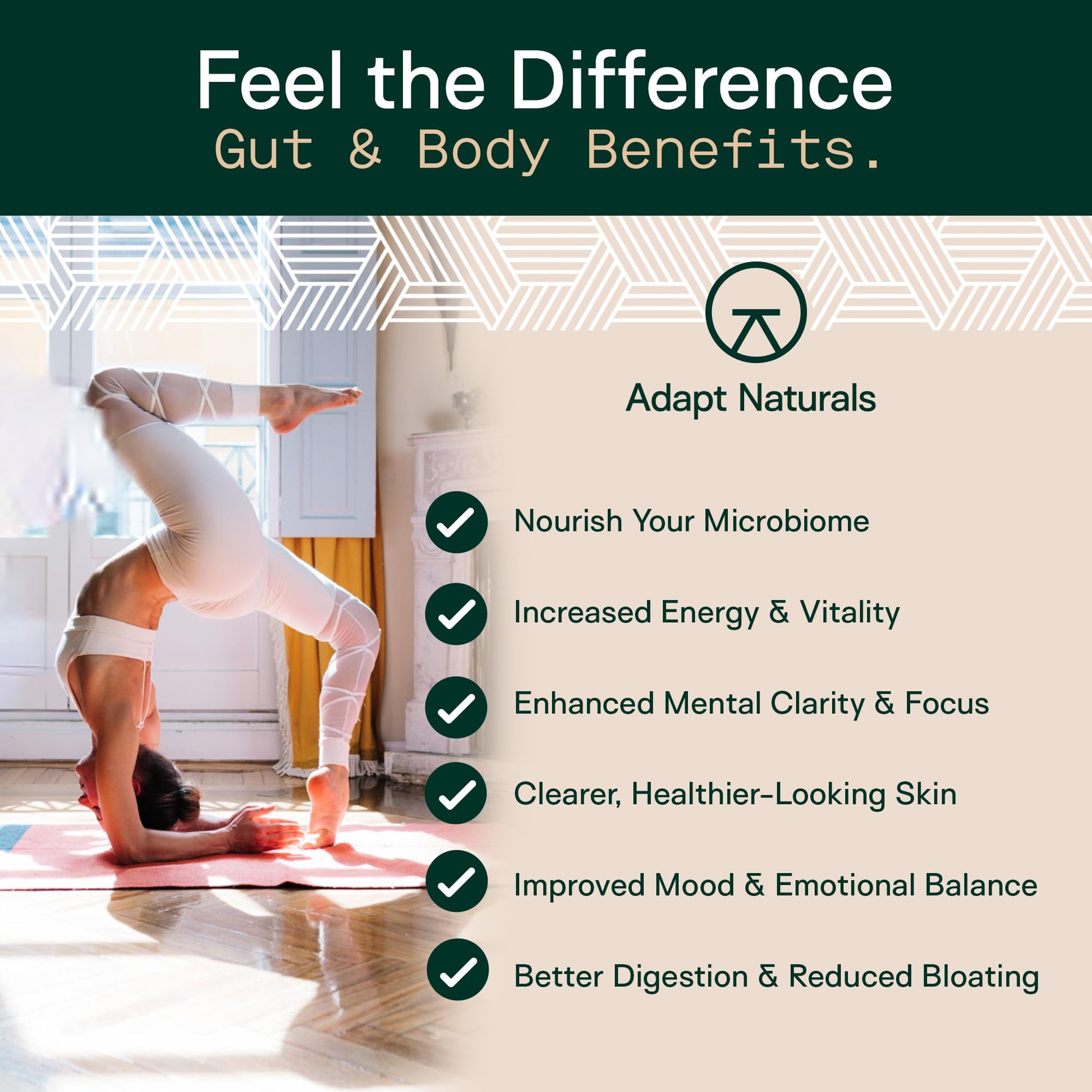 Adapt Naturals 4-in-1 Biome Protect Prebiotics, Probiotics Supplement Postbiotics & Polyphenols for Microbiome, Gut Health & Defense ADAPT NATURALS BY CHRIS KRESSER buy supplements canada