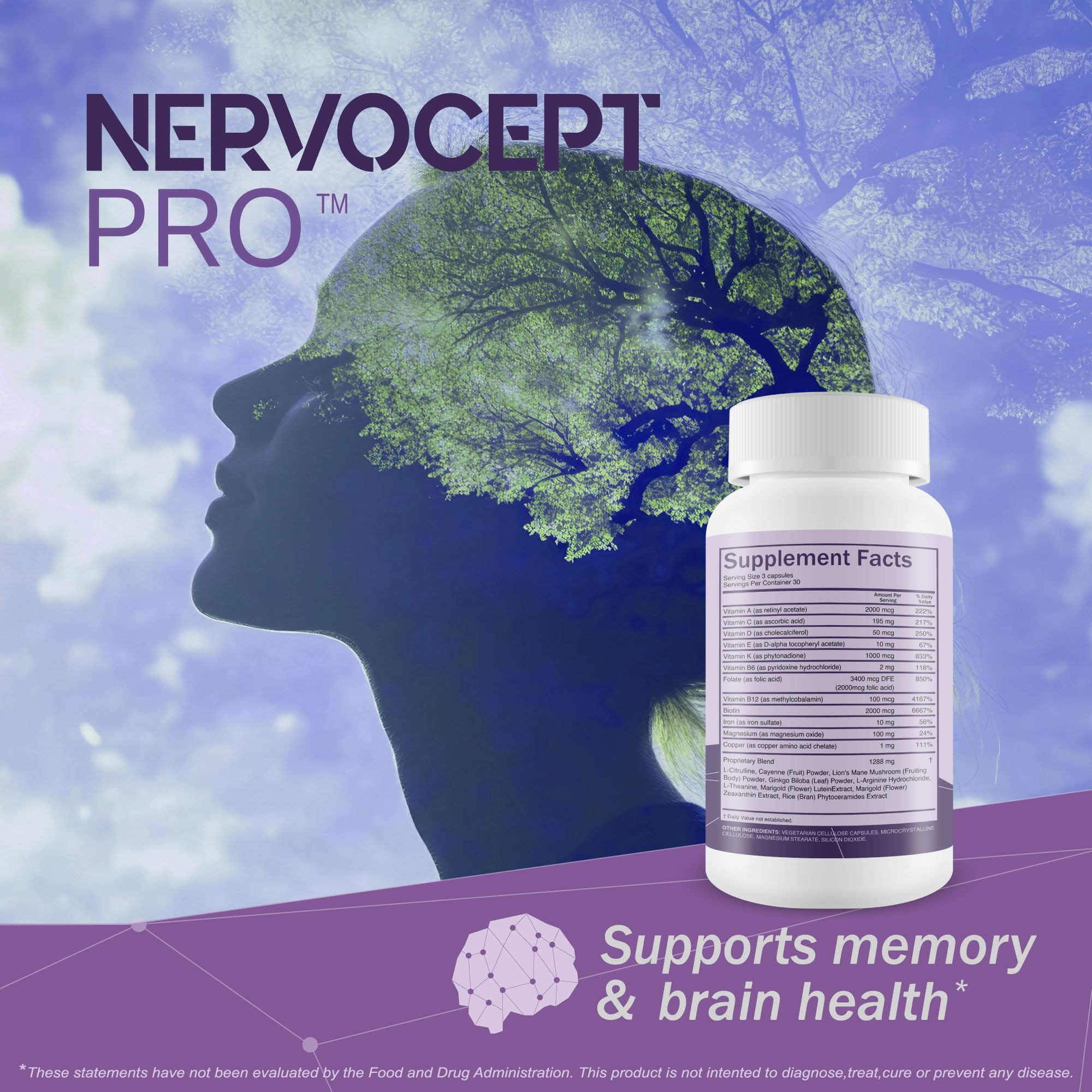 Nervocept Pro - Our Best Nerve Support Capsules - Lions Mane, Magnesium, Vitamin B For Nerve Repair - Vitamin D for Nerves - Lions Mane Memory & Nerve Support - Vitamin B12 Nerve Support True You Health buy supplements canada