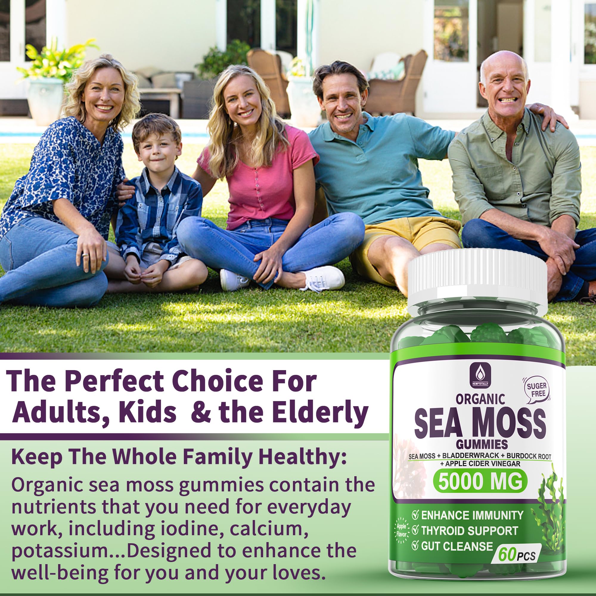 Sea Moss Supplement 5000mg, Sugar Free Sea Moss Gummies, Irish Sea Moss EnvyDeal buy supplements canada