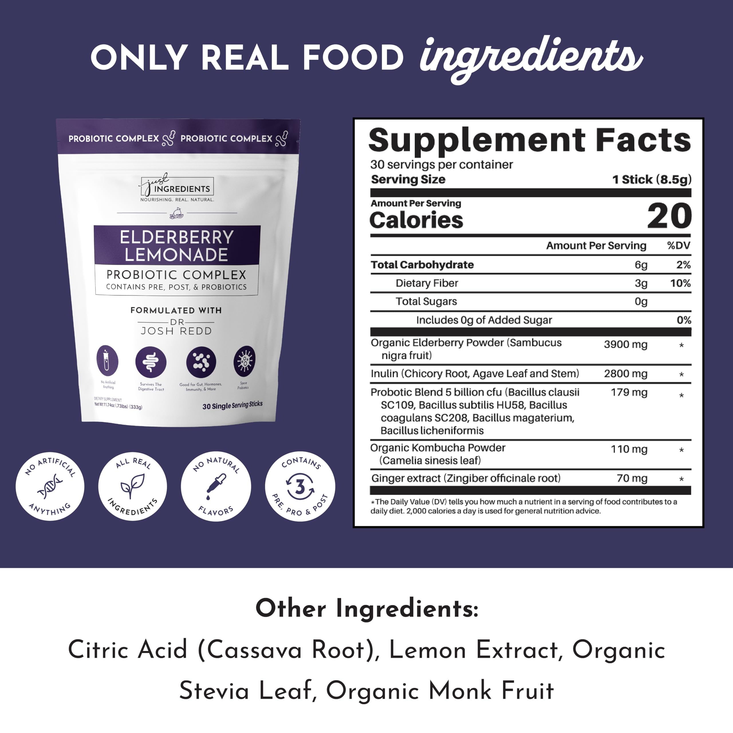 JUST INGREDIENTS Elderberry Lemonade 3-in-1 Probiotic Complex - Prebiotics, Probiotics & Postbiotics - 30 Sticks JUST INGREDIENTS buy supplements canada