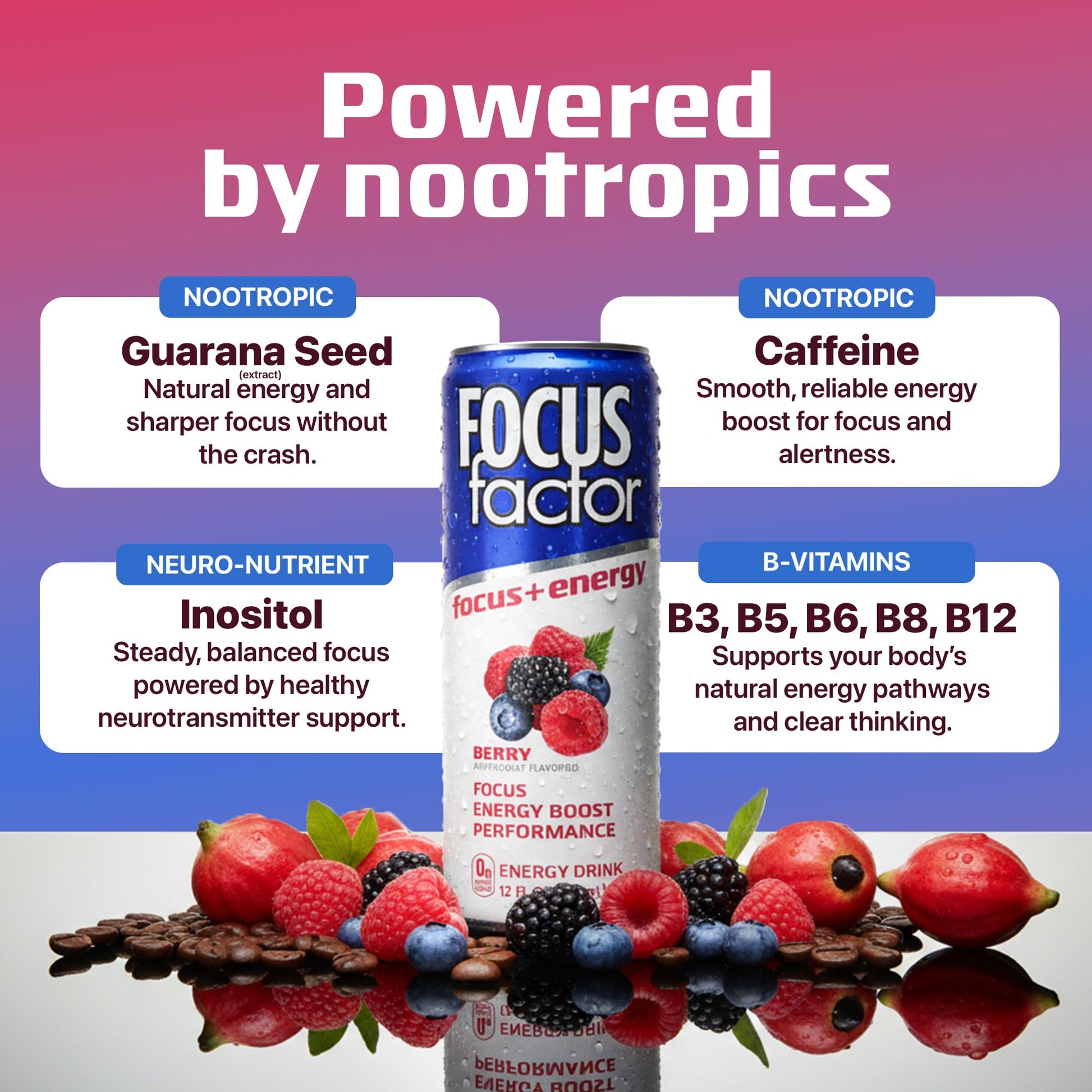 Focus Factor Energy Drink - 12 x 355ml Cans (Berry Flavour) - with Focus + Energy - Lightly Carbonated, Sugar Free, Low Calorie with Vitamin B6 & Vitamin B12 Focus Factor buy supplements canada