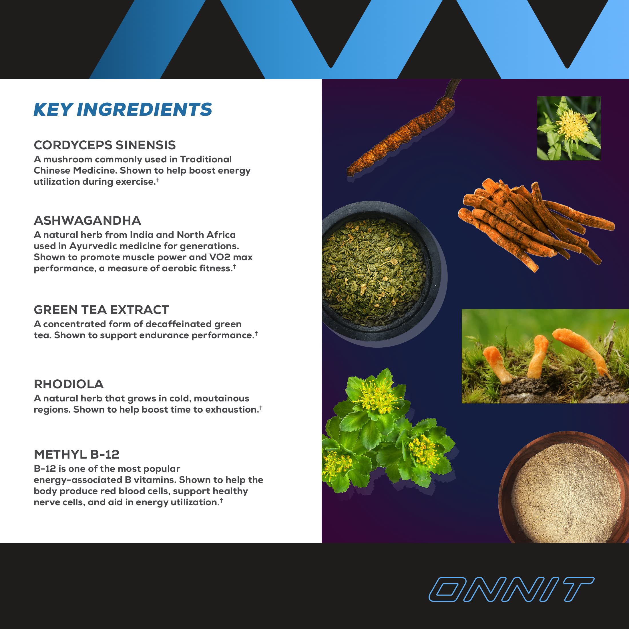 Onnit Shroom TECH Sport (84ct) | All Natural Pre-Workout Supplement with Ashwagandha ONNIT buy supplements canada
