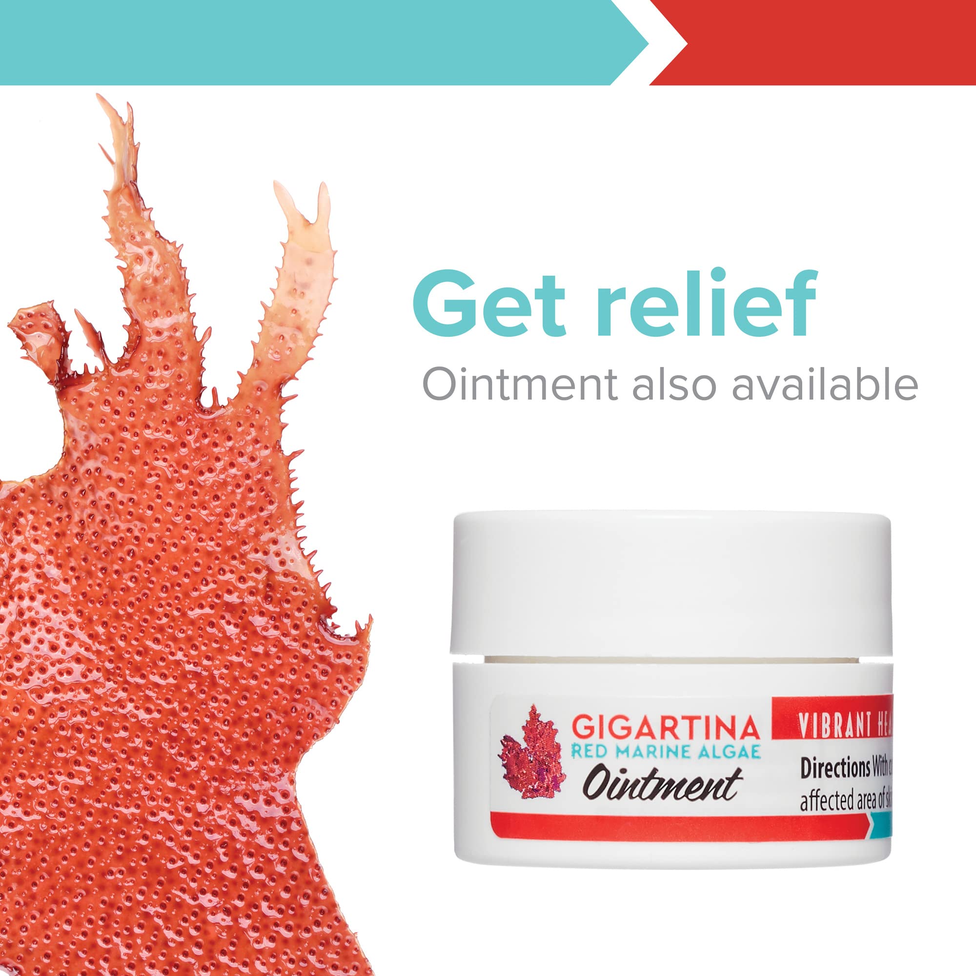 Vibrant Health, Gigartina Red Marine Algae, Plant-Based Immune Support, 60 Capsules Vibrant Health buy supplements canada