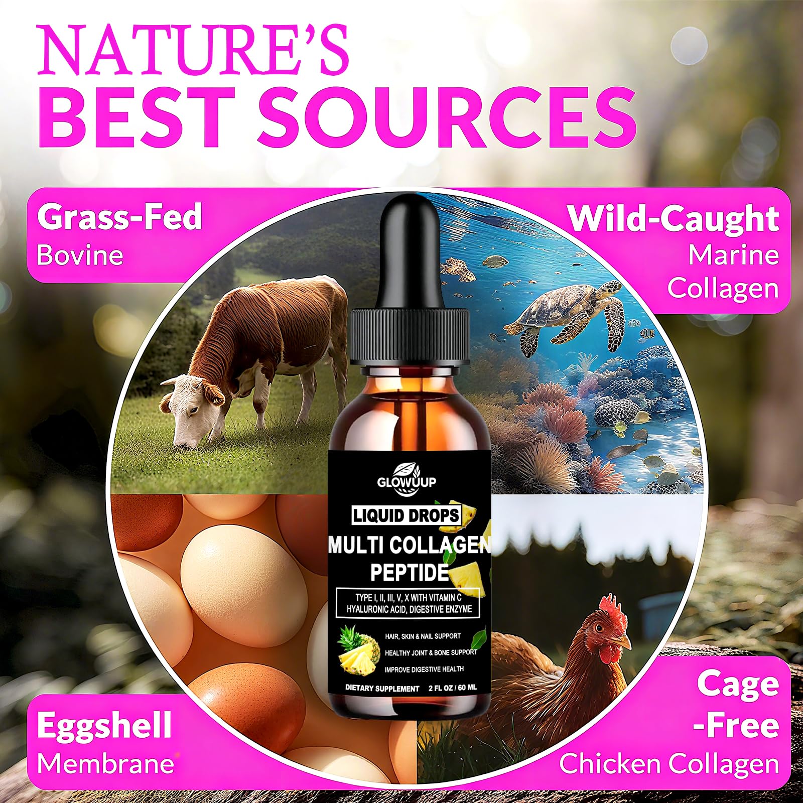 Multi Collagen Peptides Liquid Drops for Women & Men-Type I, II, III, V, X丨Hydrolyzed Collagen Peptides, Collagen Proteins W. Hyaluronic Acid, Biotin & Vitamin C for Hair Skin & Joint Gut Health GLOVVUUP buy supplements canada
