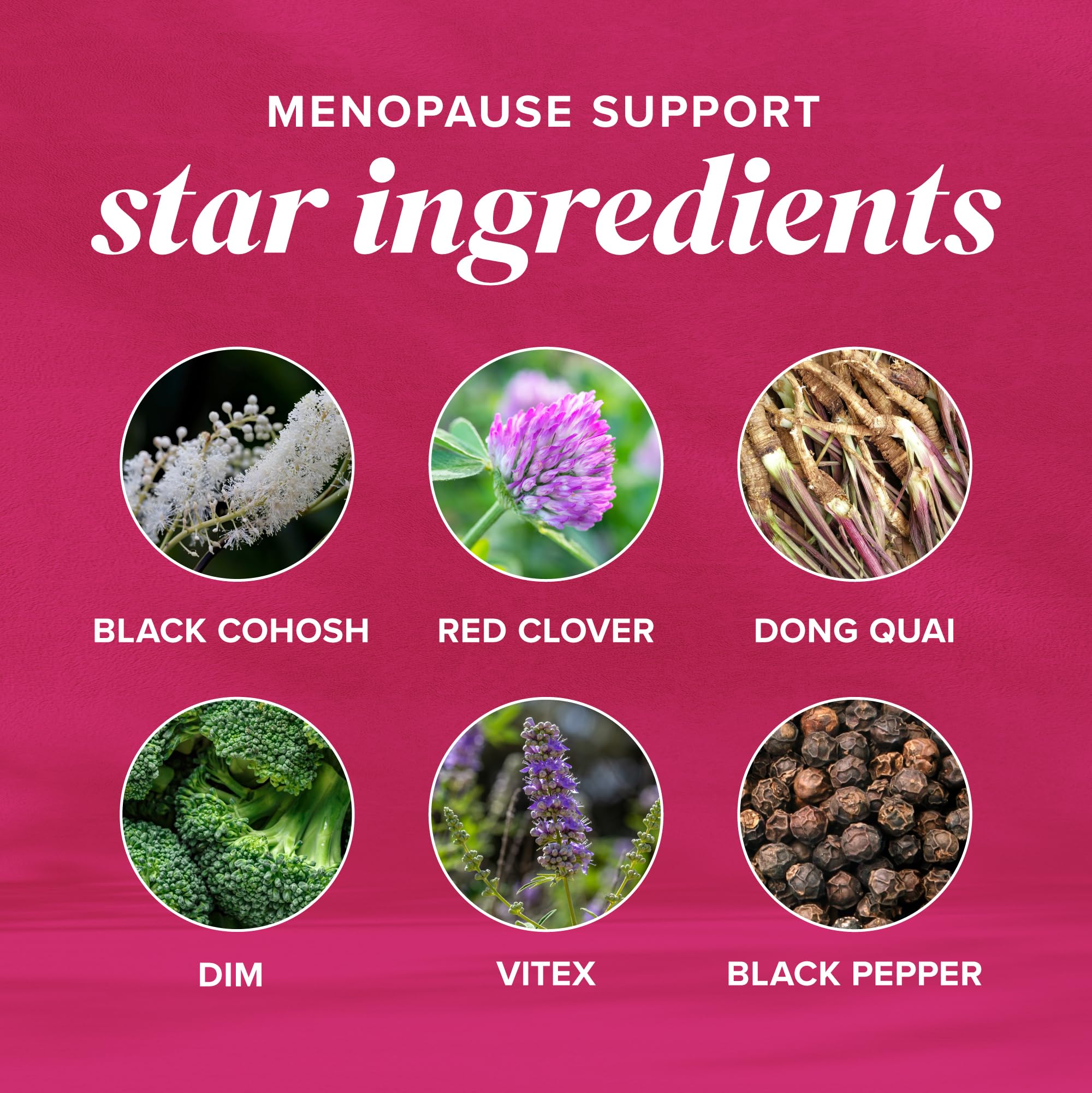 Menopause Vitamins Beadlets with Black Cohosh, Red Clover & More | Hot Flashes, Night Sweats & Mood Support | Menopause Supplements for Women with Dong Quai, Chaste Tree Berry & DIM | Non-GMO 30ct SMNutrition buy supplements canada
