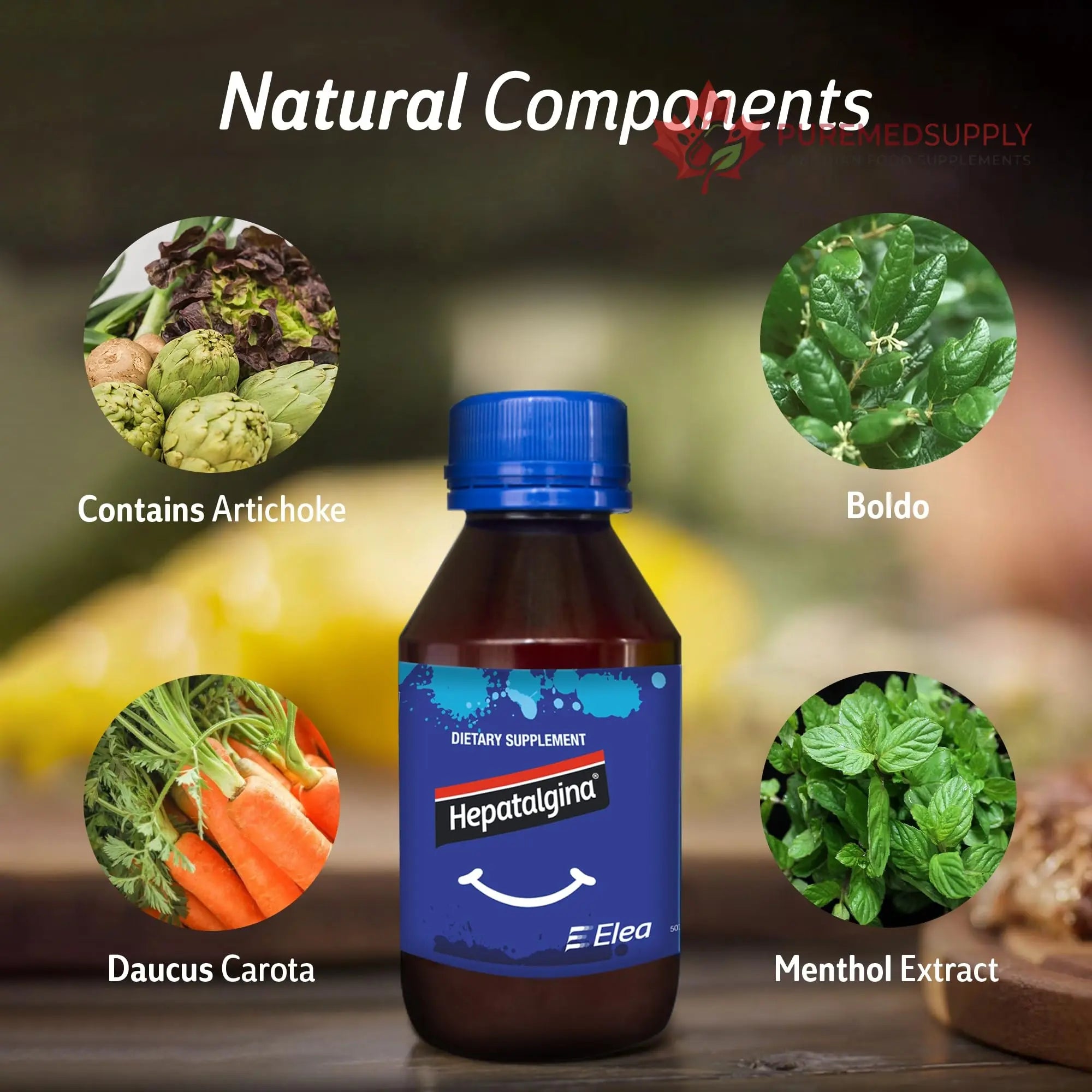 Hepatalgina Liver Support Digestive Protector - Liquid Herbal Supplement with Artichoke Extract for Liver Cleanse Detox & Repair - Liver Detox Cleanse Drops with Mint, Boldo & Carrot - 120 ml Hepatalgina buy supplements canada