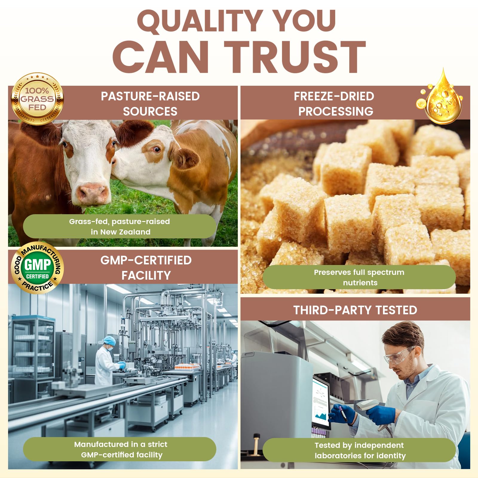 Grass Fed Beef Organ Supplement for Men - Beef Liver Capsules,Pasture Raised Beef Organs with Heart, Liver, Kidney, Spleen, Testicle & Prostate, Zinc, Selenium, Vitamin D3, Ginseng, Cordyceps HOLINFRE buy supplements canada