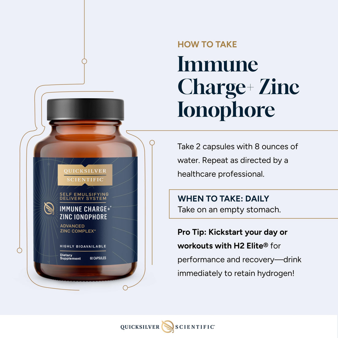 Quicksilver Scientific Immune Charge+ Zinc Ionophore - Zinc Supplement Complexed with Quercetin, Luteolin, Hesperetin Immune + GI Support (60 Capsules) Quicksilver Scientific buy supplements canada
