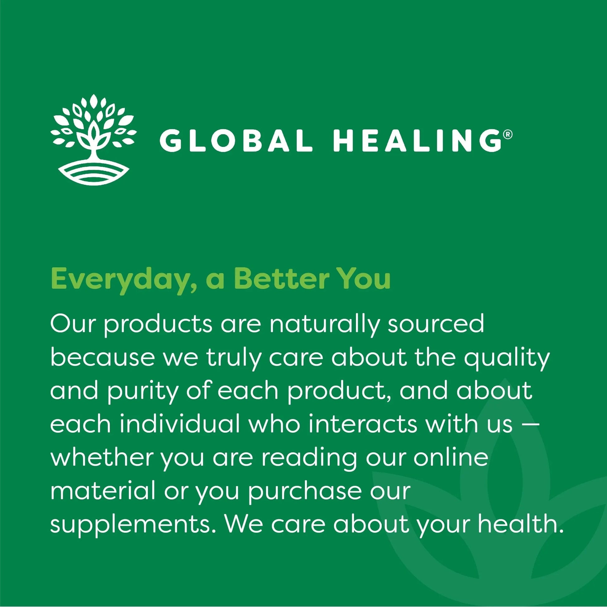 Global Healing Center - Vitamin B12 5000 mcg, Organic Sublingual Liquid Drops | 3-in-1 Methylcobalamin, Adenosylcobalamin, Hydroxo Blend, 1 Fl Oz (2-Pack) Global Healing Center buy supplements canada