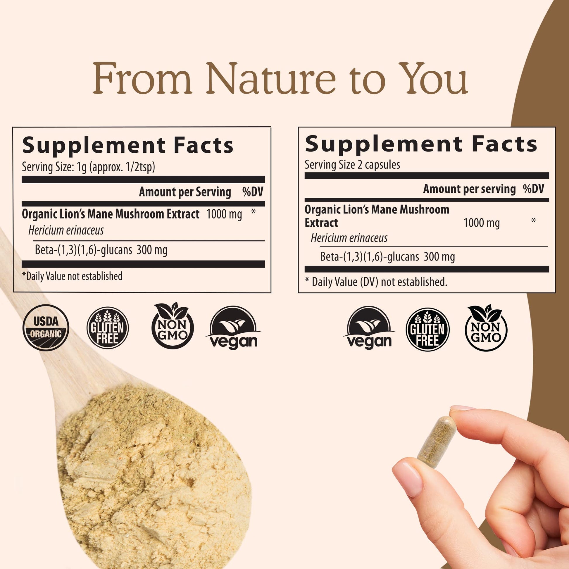 Real Mushrooms Lion’s Mane Capsules - Organic Lions Mane Mushroom Extract Real Mushrooms buy supplements canada
