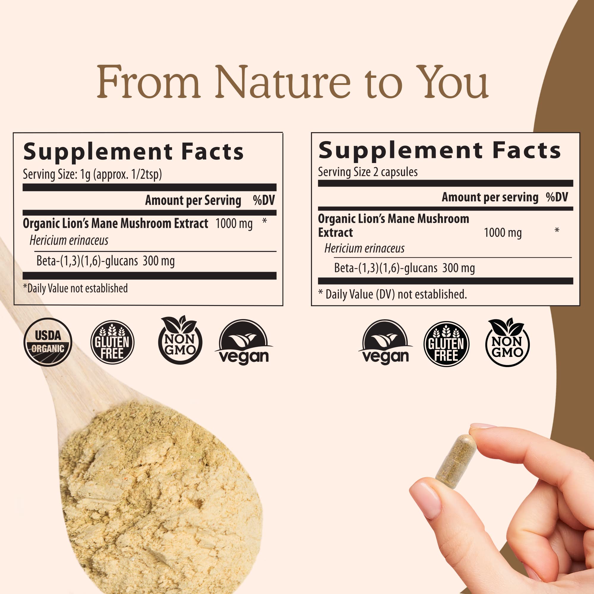 Real Mushrooms Lion’s Mane Capsules - Organic Lions Mane Mushroom Extract Real Mushrooms buy supplements canada