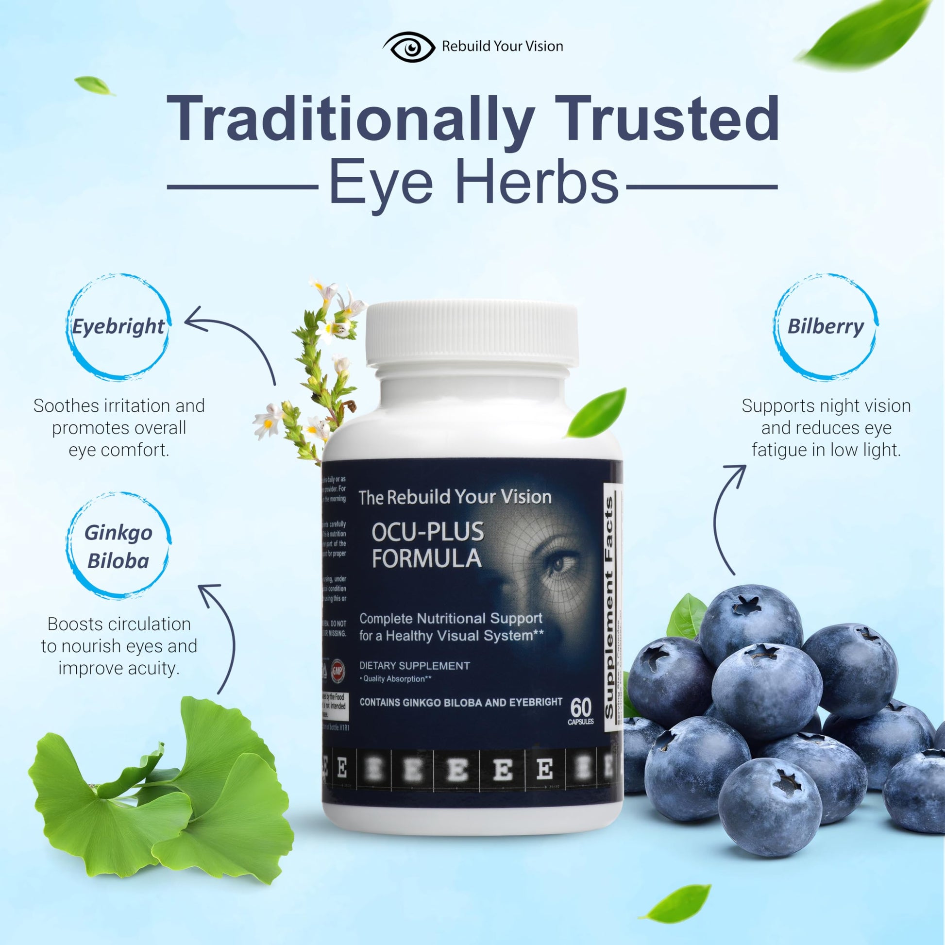 Rebuild Your Vision Ocu-Plus Formula – Eye Health Supplement with Lutein & Zeaxanthin – Supports Visual Clarity, Night Vision & Macular Health – with Bilberry, Ginkgo Biloba & NAC – 60 Capsules Rebuild Your Vision buy supplements canada