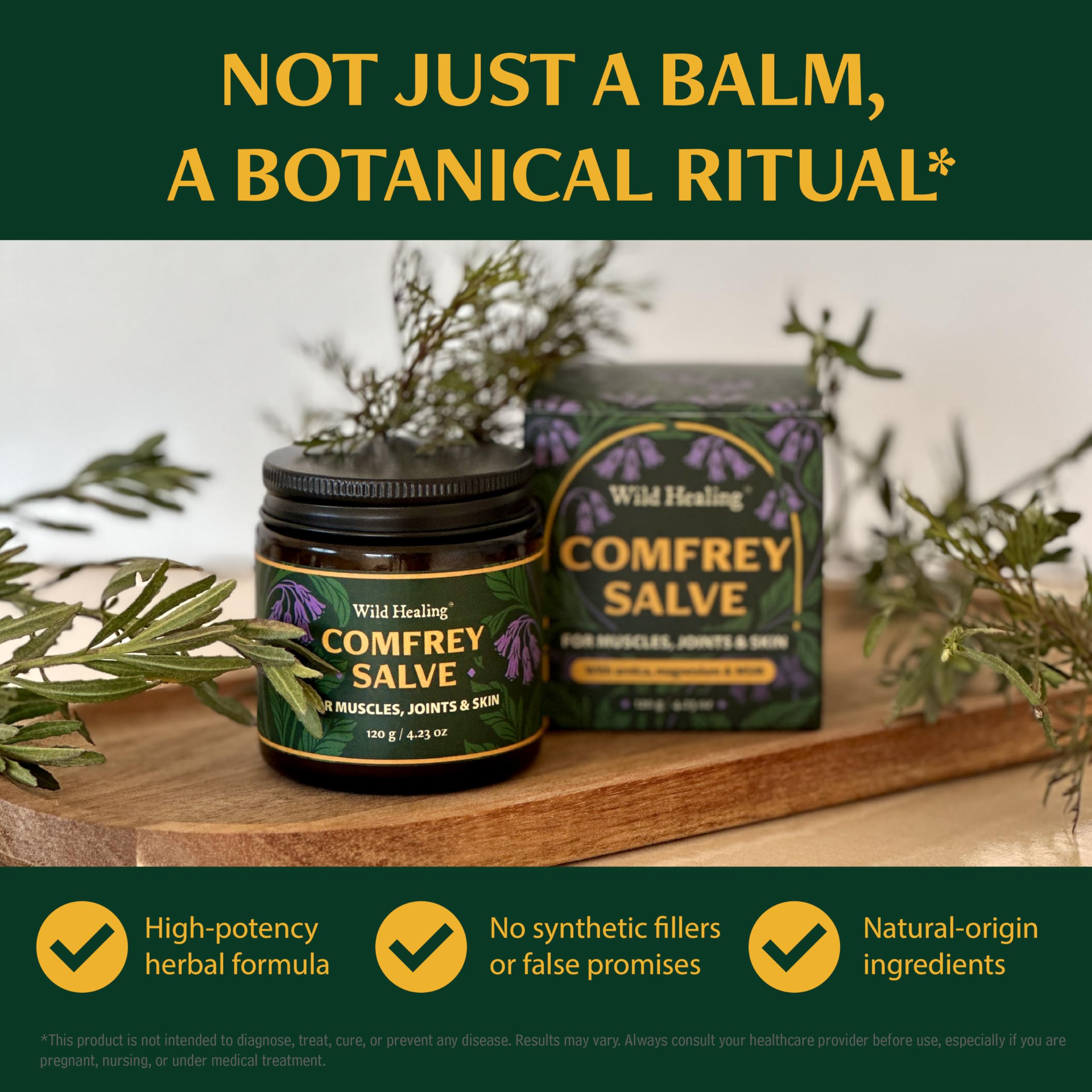 Wild Healing Comfrey Salve – Concentrated Herbal Balm with Arnica, Magnesium & MSM – Soothing Botanical Cream for Joints, Muscles & Dry Skin – 4.23 oz Wild Healing buy supplements canada