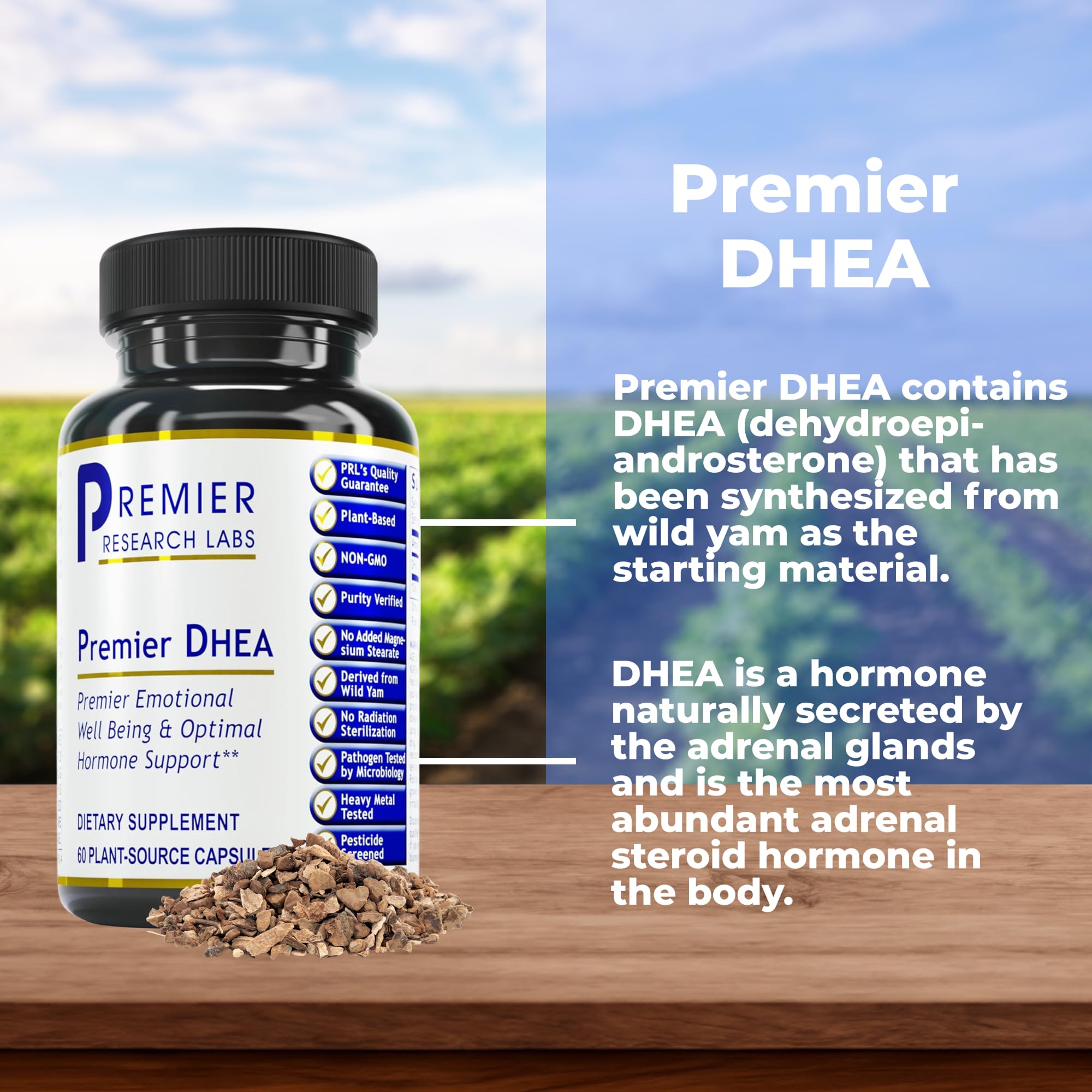 Premier Research Labs Premier DHEA - DHEA Supplement for Women & Men, Pure DHEA 25mg, Hormone Support for Healthy Aging, Wild Yam DHEA, Vegan Friendly - 60 Vegetarian Capsules Premier Research Labs buy supplements canada