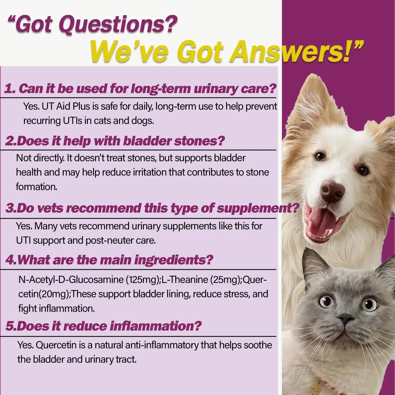 NUTRIARISE Natural UTI Treatment for Cats & Dogs – Antibiotic-Free Urinary Tract Infection Support Supplement – Bladder & Kidney Health – Incontinence Prevention – 30 Capsules NUTRIARISE buy supplements canada