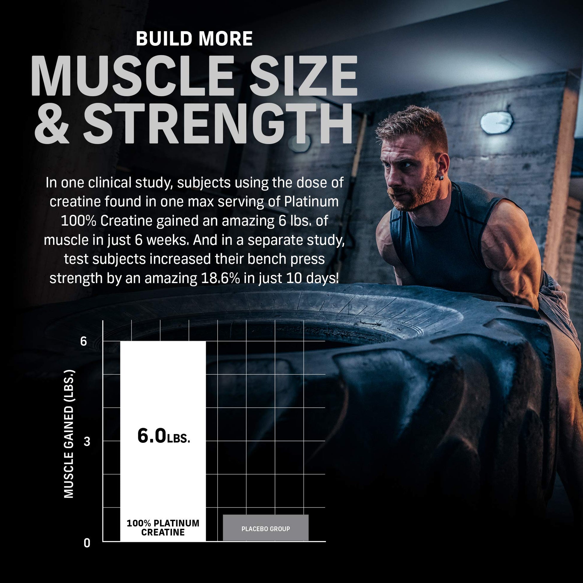 Muscletech Whey Protein Powder Phase8 Protein Powder & nohydrate Powder Platinum Muscletech buy supplements canada