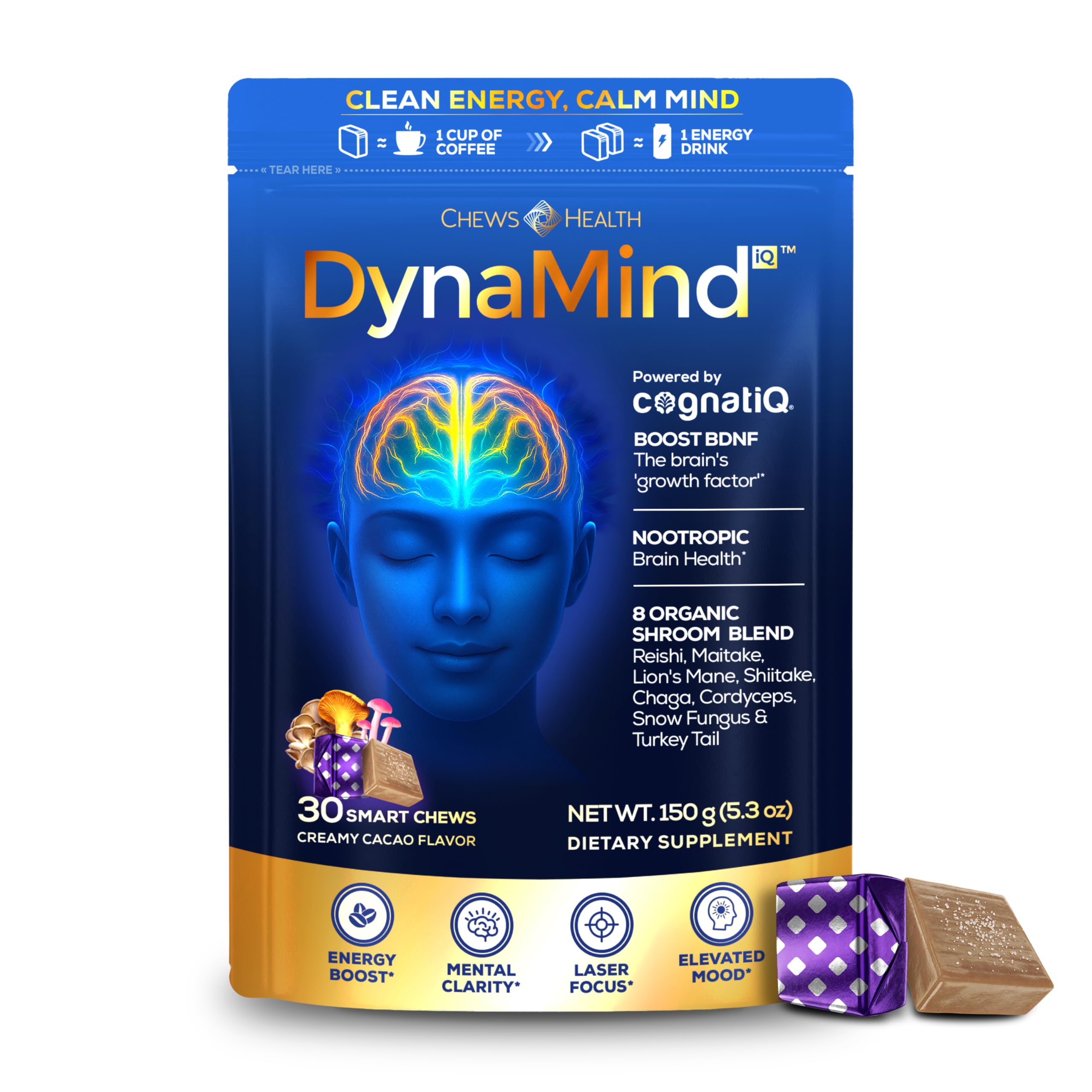 DynaMind iQ Brain Supplement for Memory and Focus for Adults - Nootropic Chews | Coffee Fruit & Mushroom Supplement Blend, Memory Focus Supplement, Caffeine Focus Pills Alternative, 30 Count CHEWSHEALTH buy supplements canada