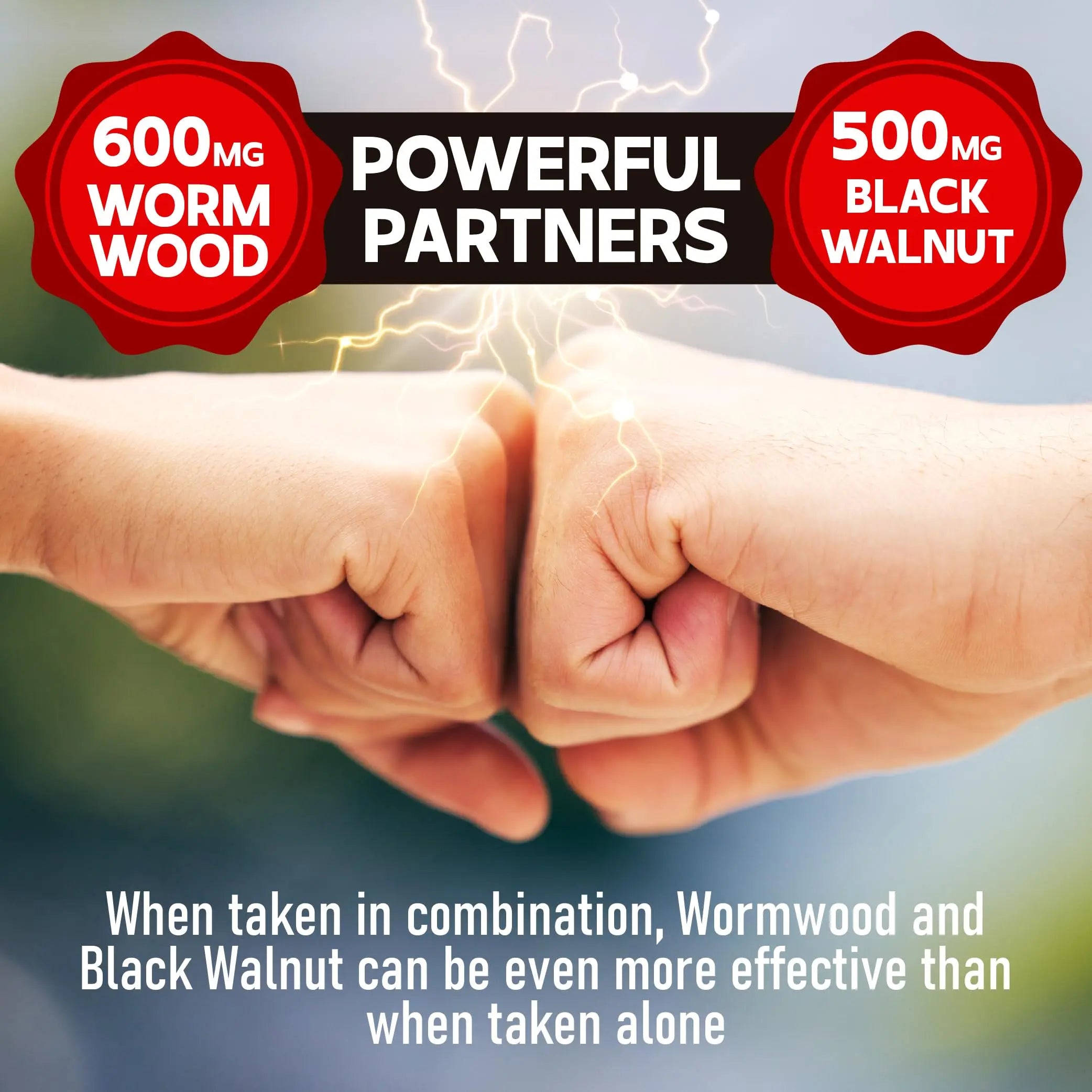 DEDICAD Sweet Wormwood Capsules 1500mg with Black Walnut & Cloves - 240 Vegan Capsules - Artemisia Annua Supplement for Immunity DEDICAD buy supplements canada