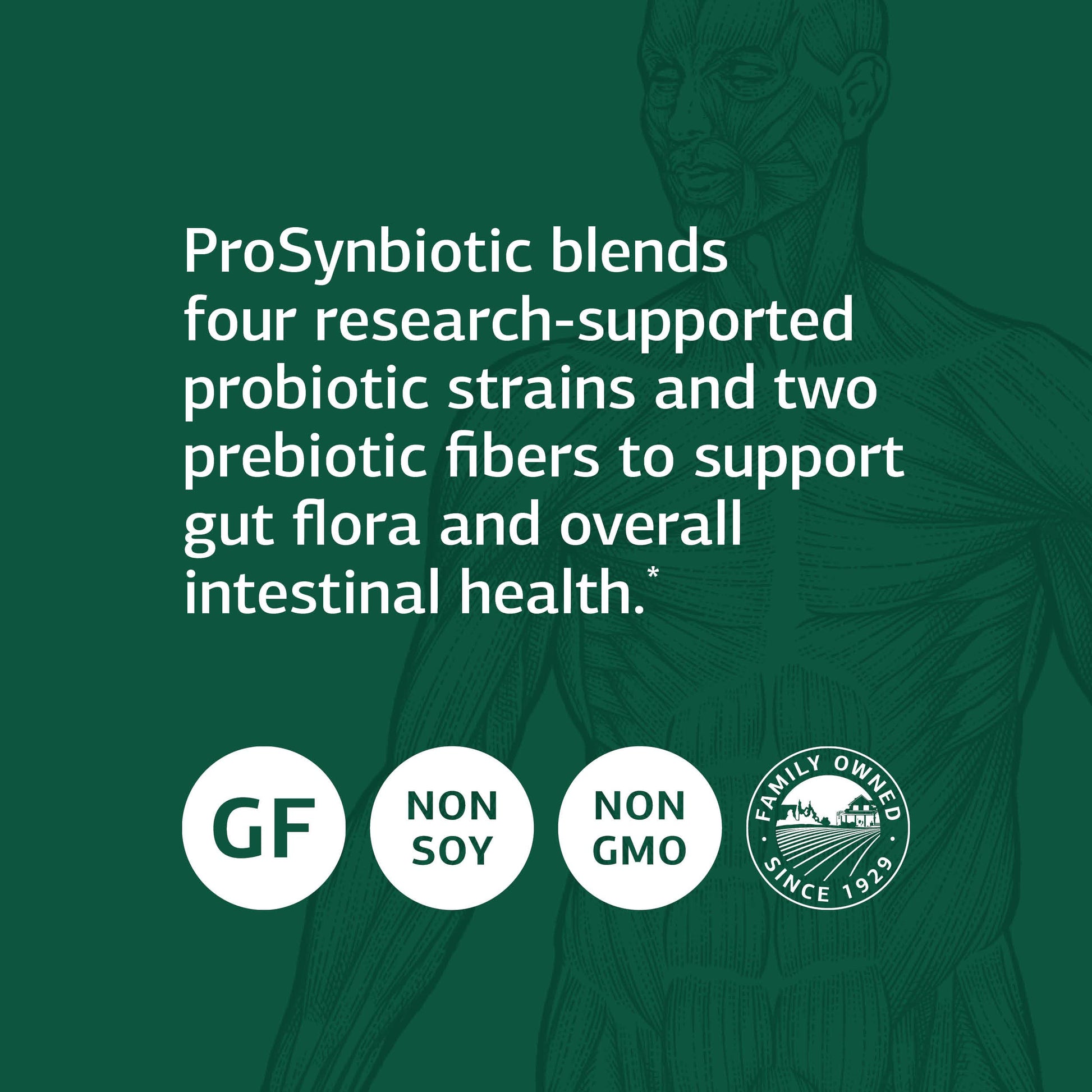 Standard Process ProSynbiotic - Whole Food Bowel, Immune Support, Digestion and Digestive Health with Bifidobacterium, Chicory Root, Lactobacillus Acidophilus, Standard Process Inc. buy supplements canada