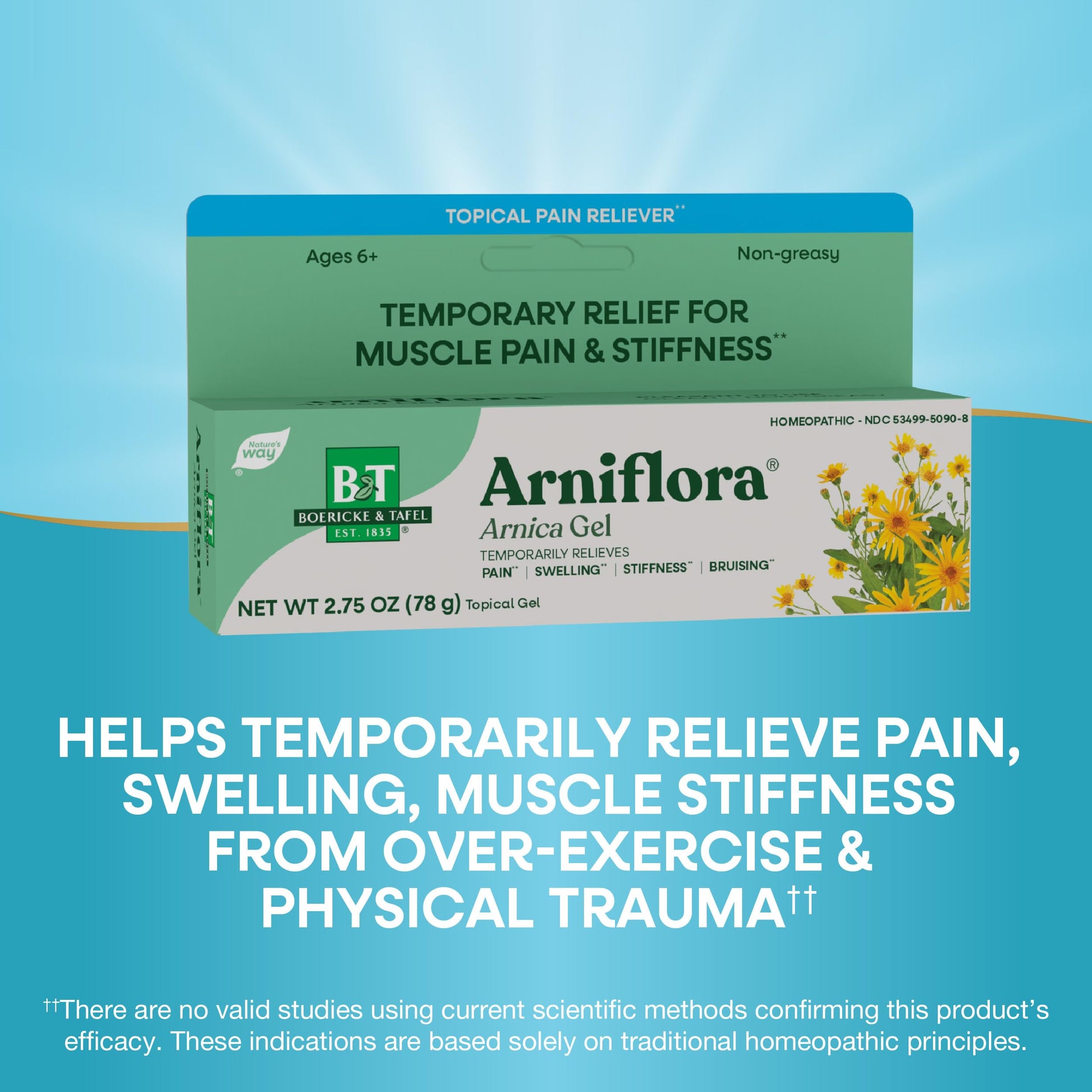Nature's Way Boericke & Tafel Arniflora Arnica Gel, Temporarily Relieves Pain*, Swelling*, Stiffness*, 2.75 Oz (Packaging May Vary) Nature's Way buy supplements canada