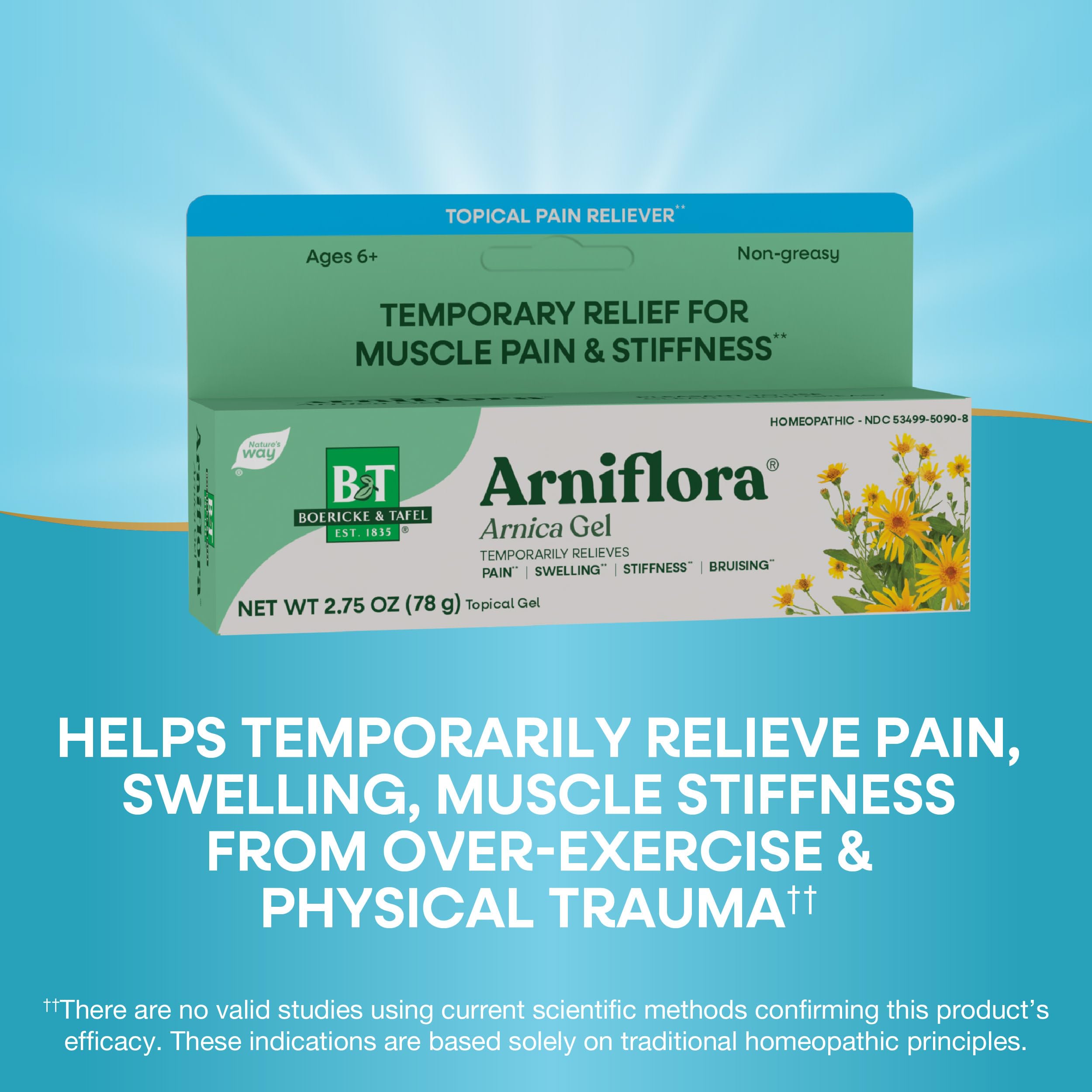 Nature's Way Boericke & Tafel Arniflora Arnica Gel, Temporarily Relieves Pain*, Swelling*, Stiffness*, 2.75 Oz (Packaging May Vary) Nature's Way buy supplements canada