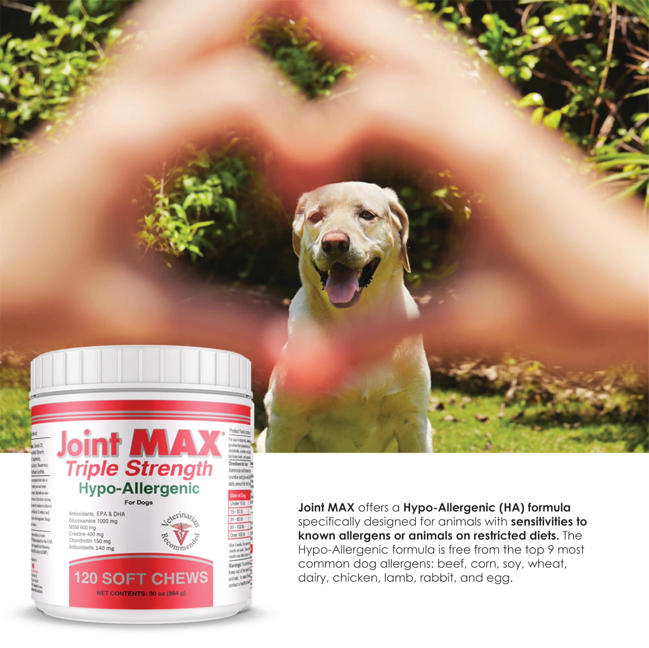 Joint MAX Triple Strength Hypo-Allergenic Soft Chews for Dogs - Hip and Joint Support Supplement with Glucosamine, Chondroitin, & MSM - Made in The USA - 120 Soft Chews Joint Max buy supplements canada