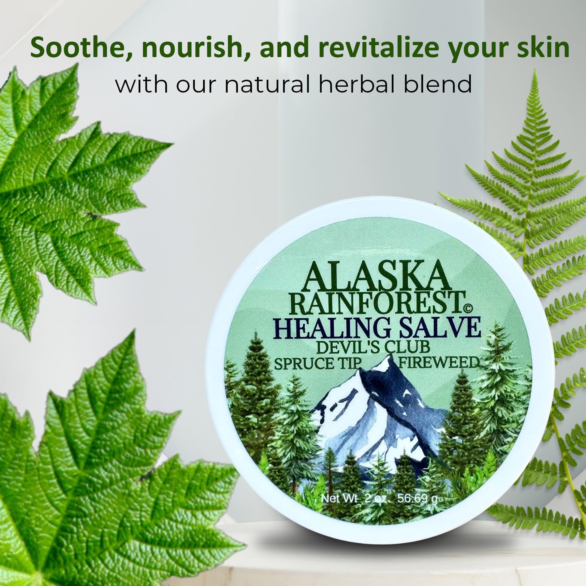 Snowy Summit Alaska Rainforest Salve - Herbal Salve for Dry Skin & Joint Relief - Natural Super Salve for Soothing Skin with Gentle Aroma - Body & Hand Salve - Muscle Rub with Alaskan Devil’s Club Oil Snowy Summit buy supplements canada